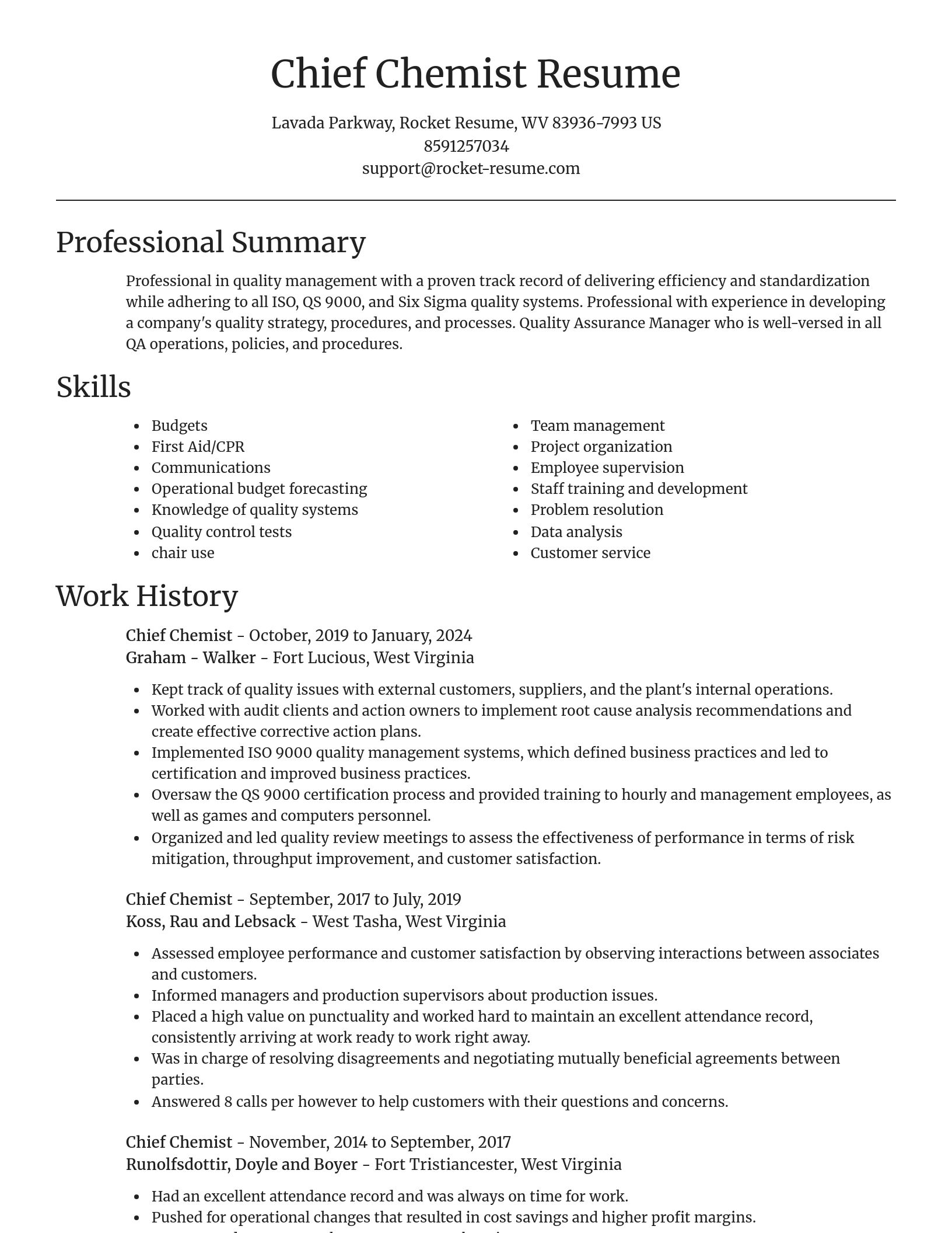 Focal Point resume template