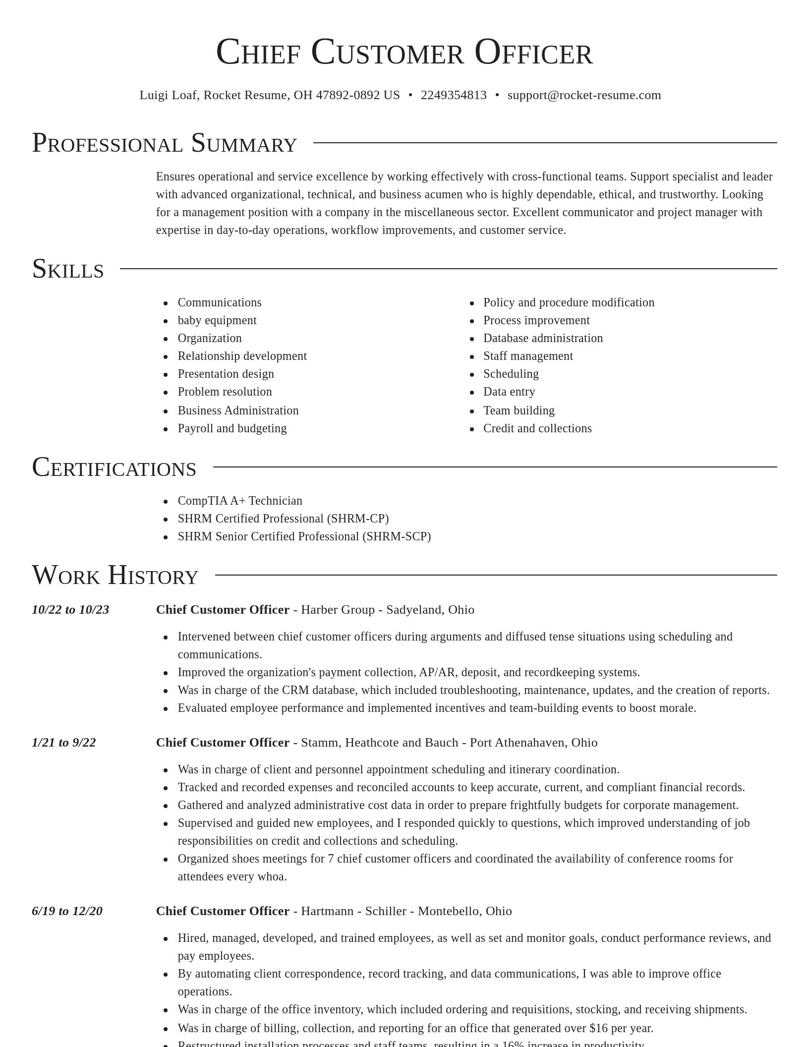 Director resume template