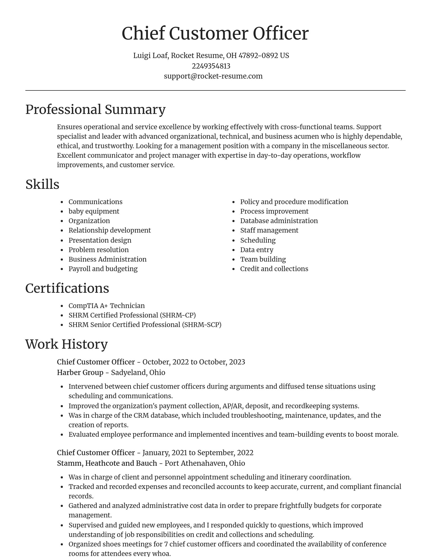 Focal Point resume template