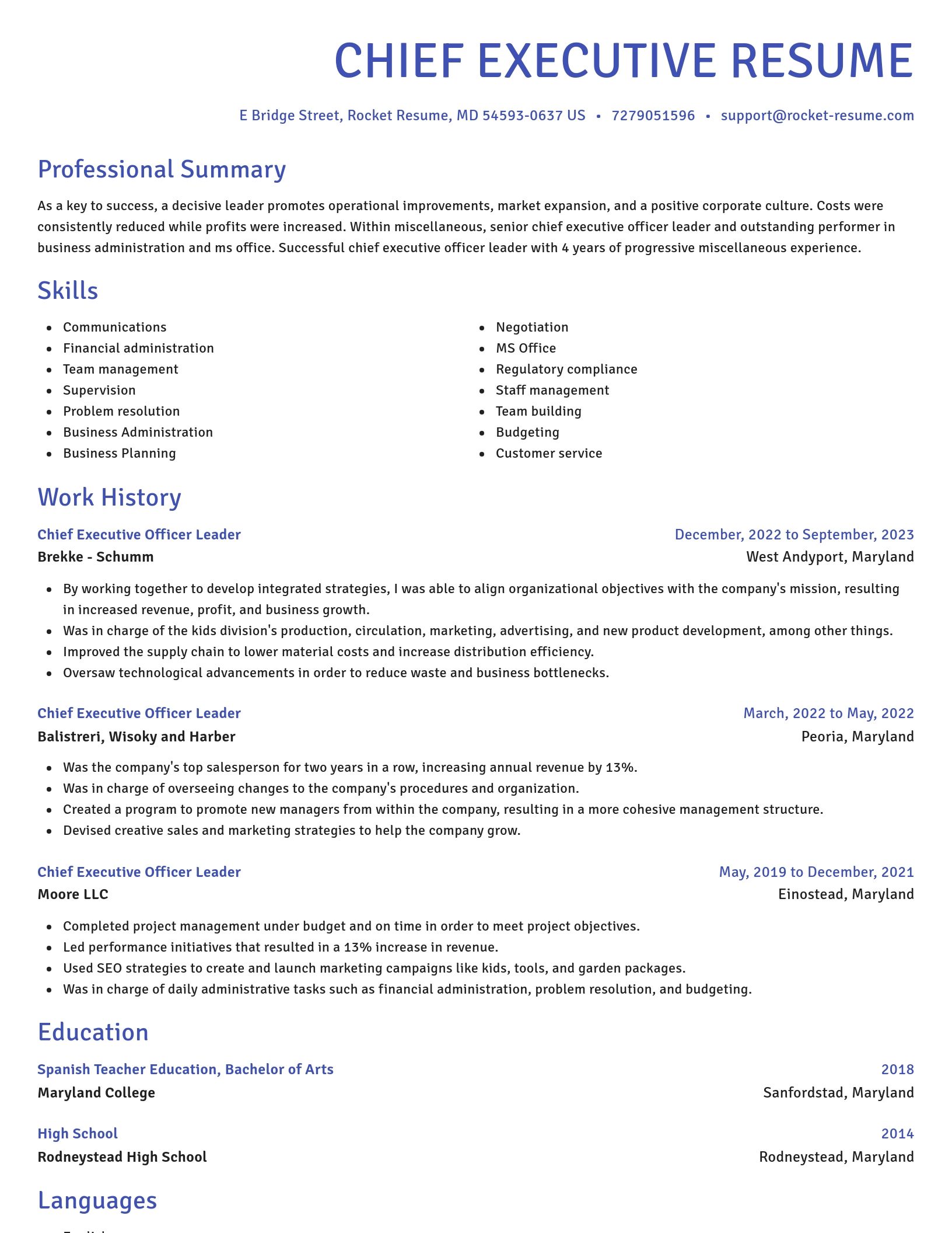 Novel resume template