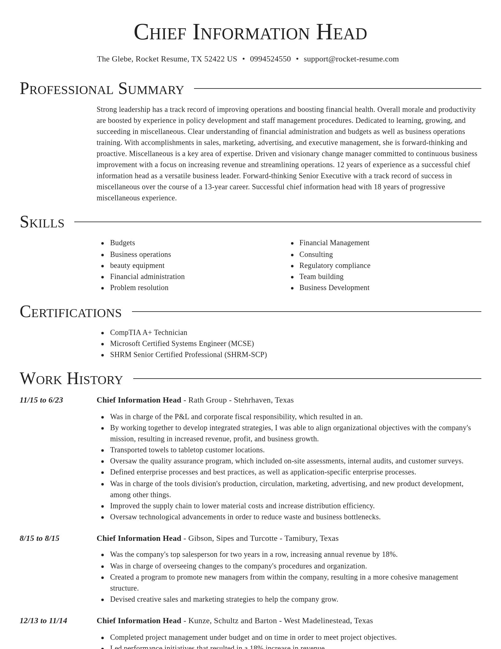 Director resume template
