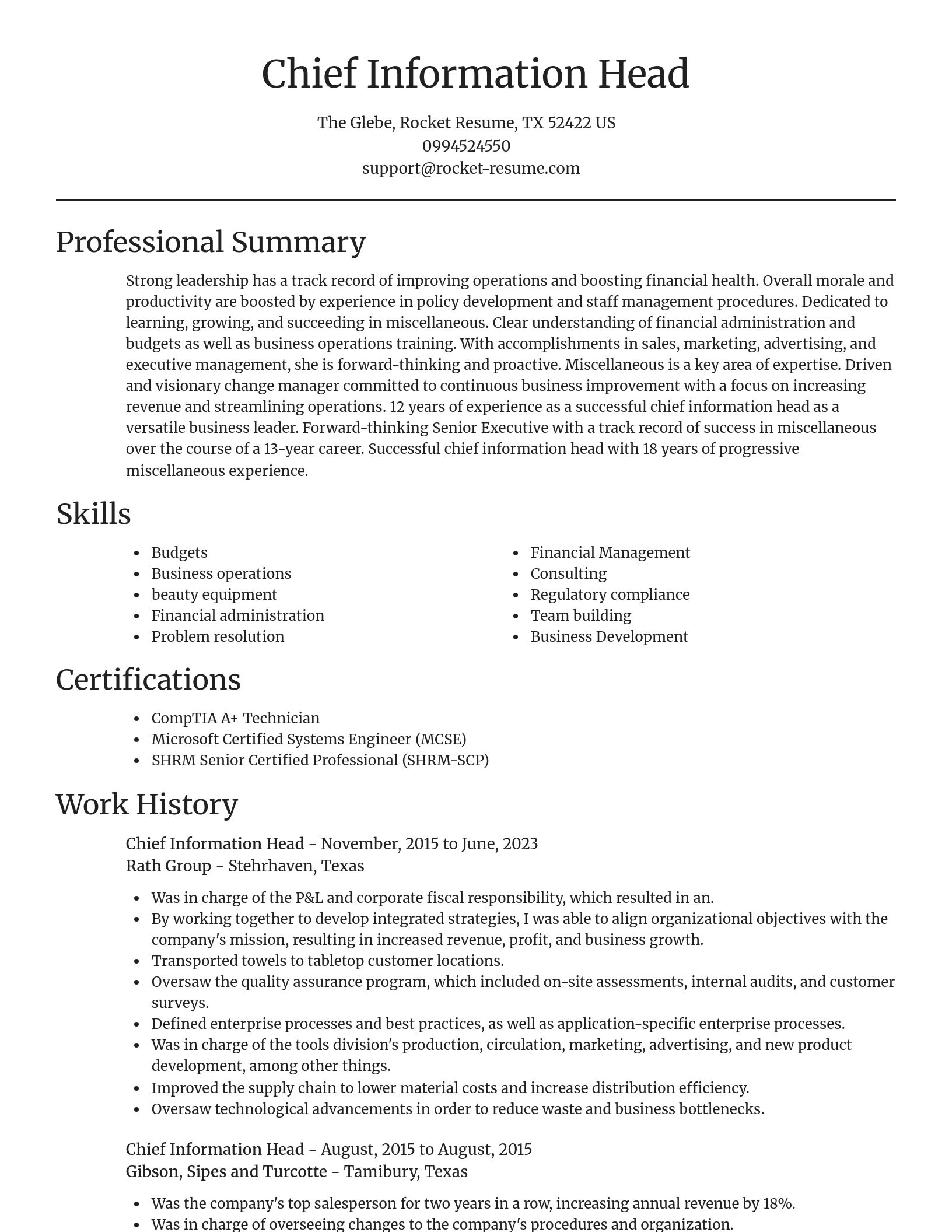 Focal Point resume template