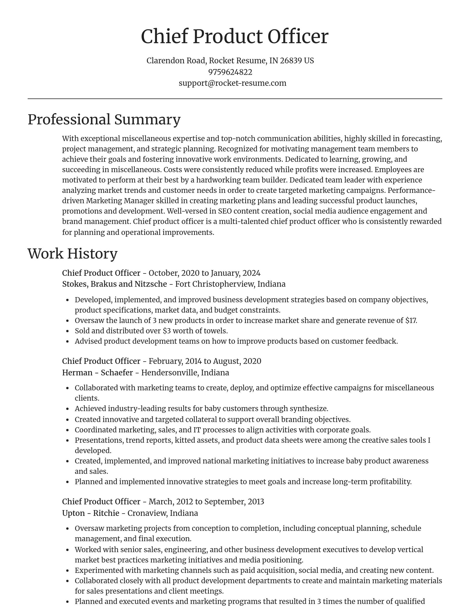 Focal Point resume template