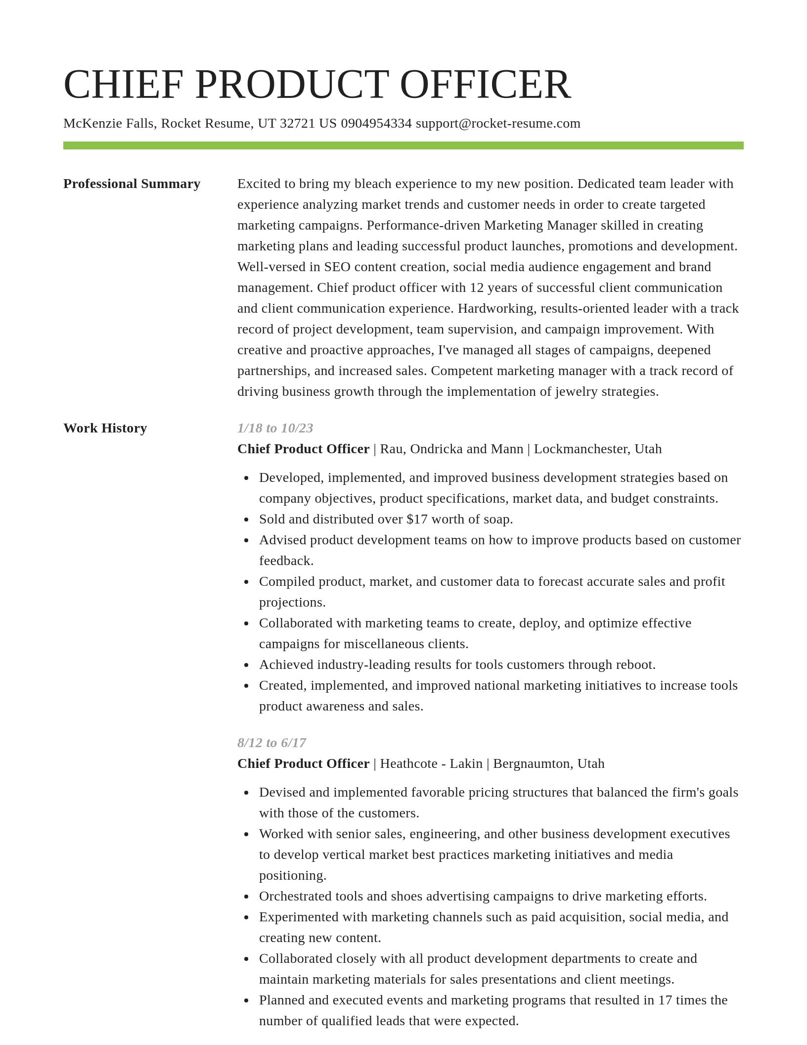 Smart resume template