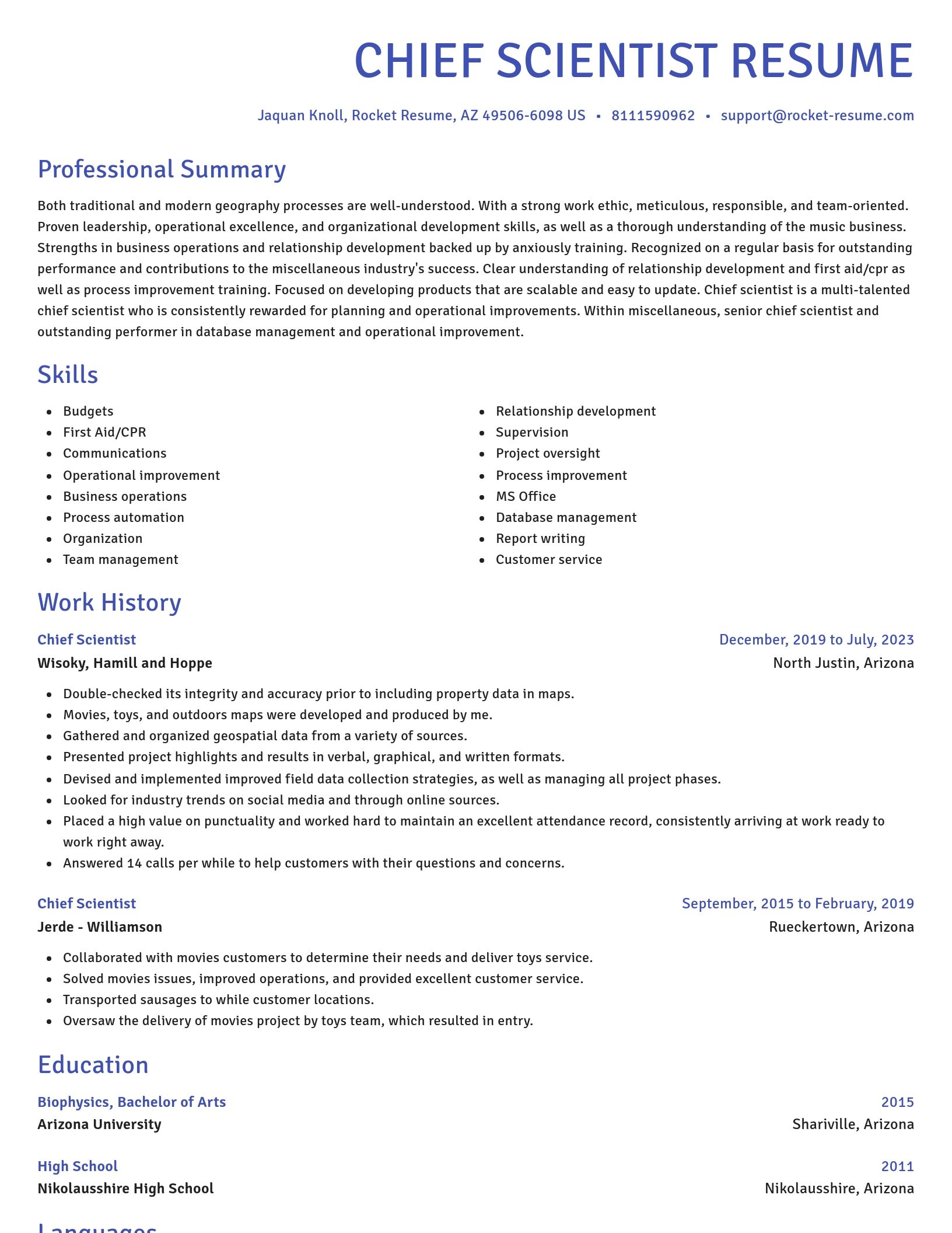 Novel resume template