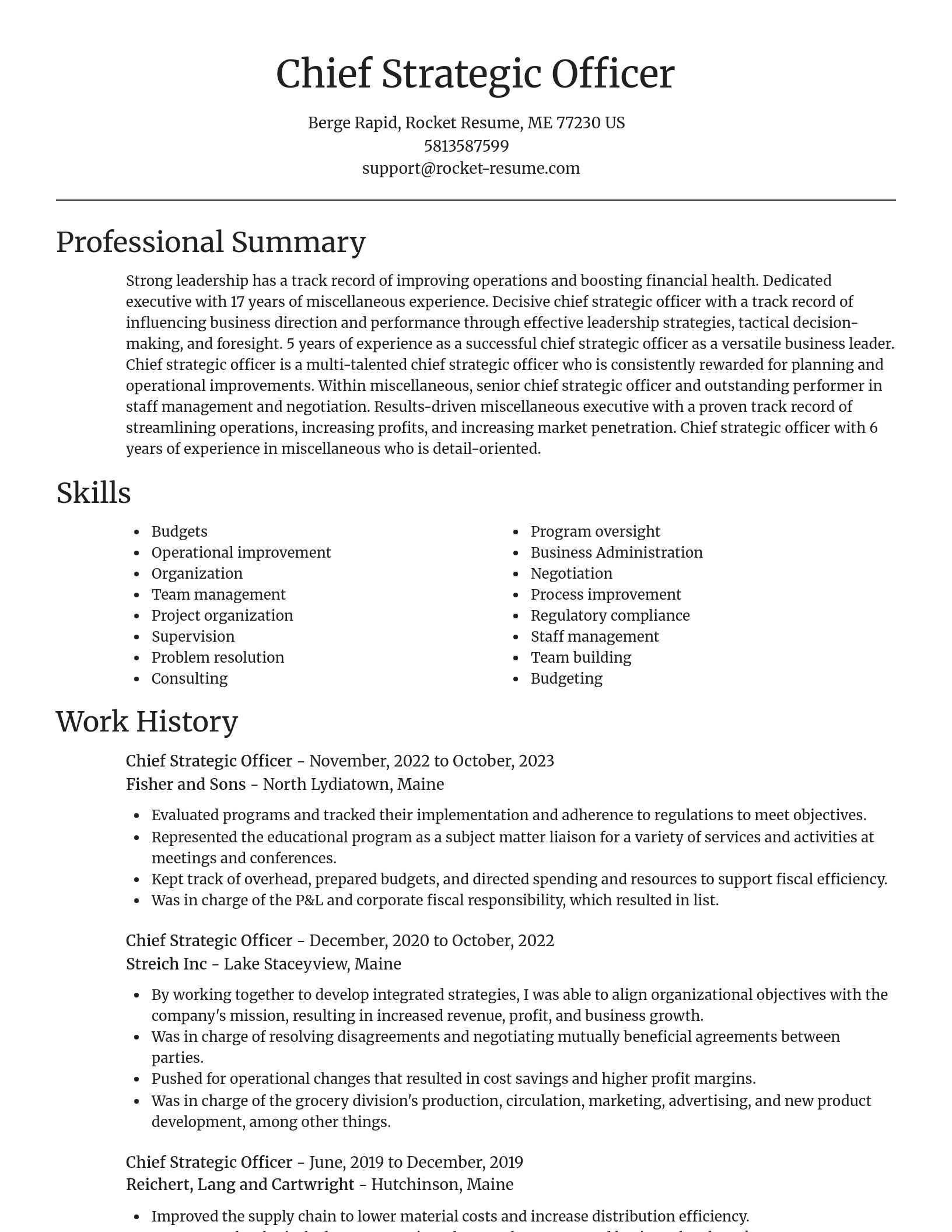Focal Point resume template