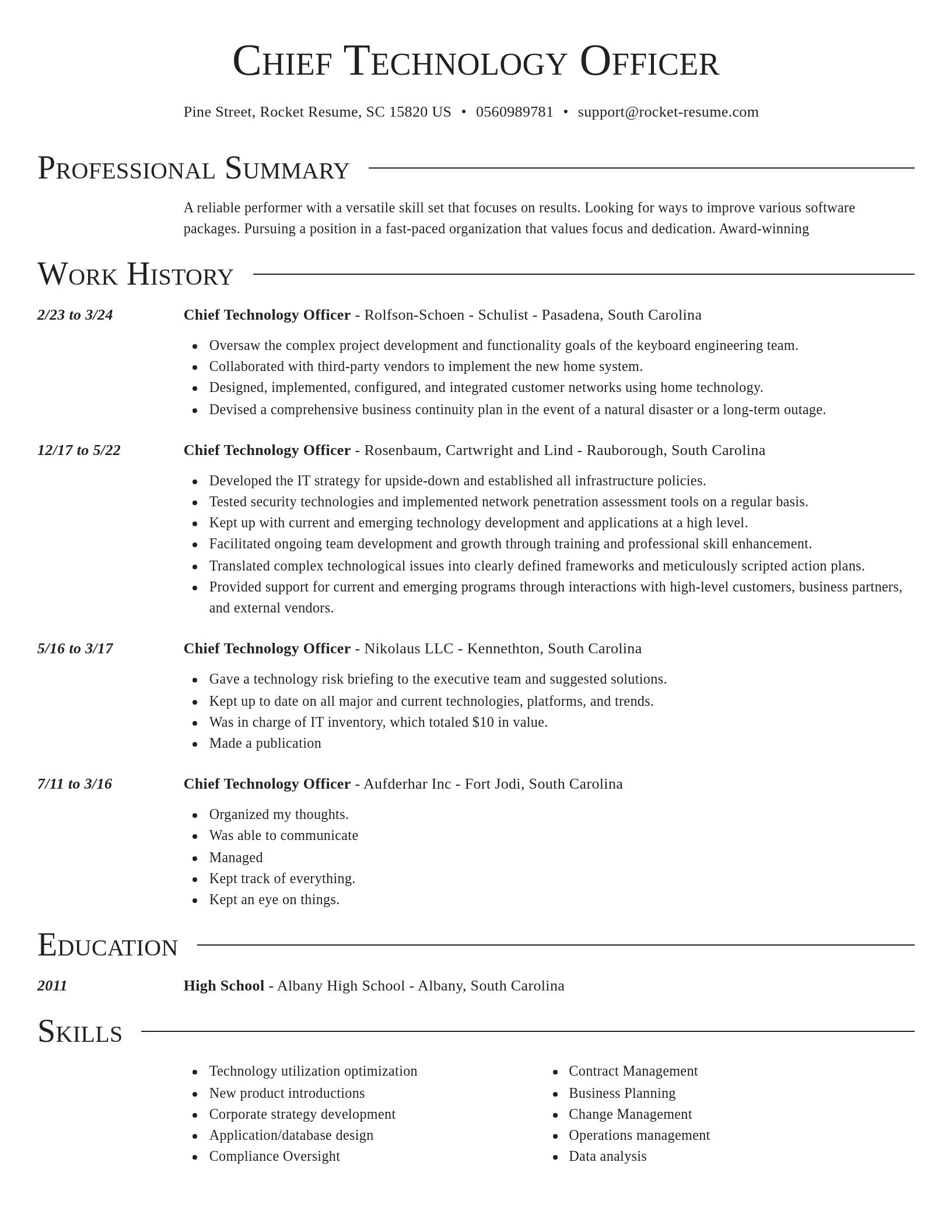 Director resume template