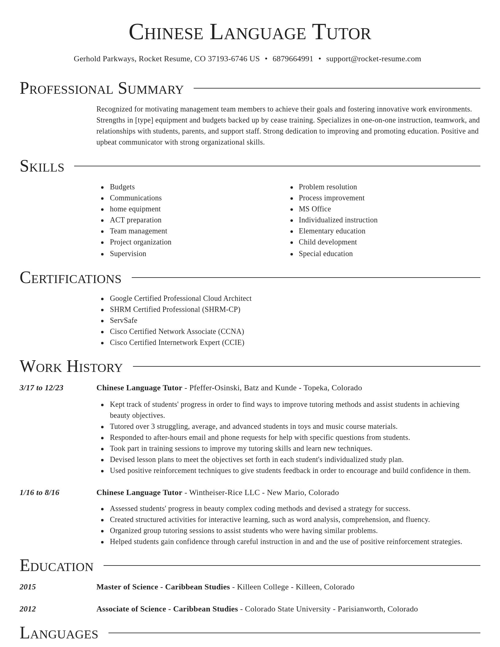 Director resume template