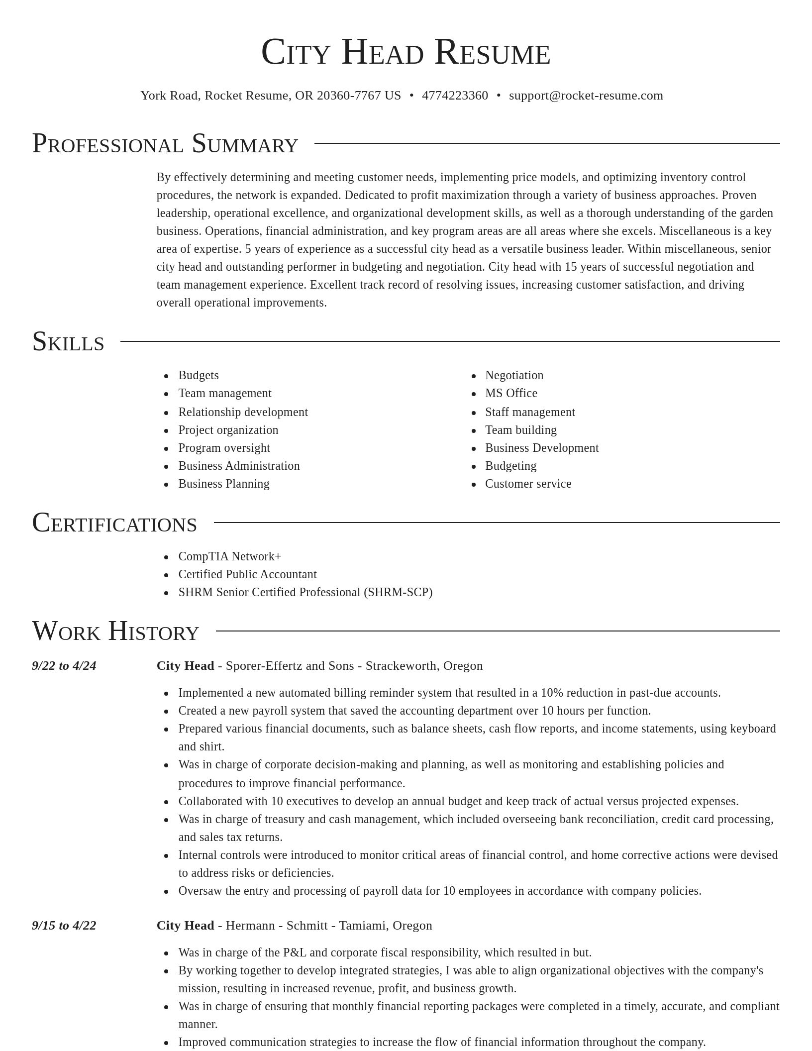 Director resume template