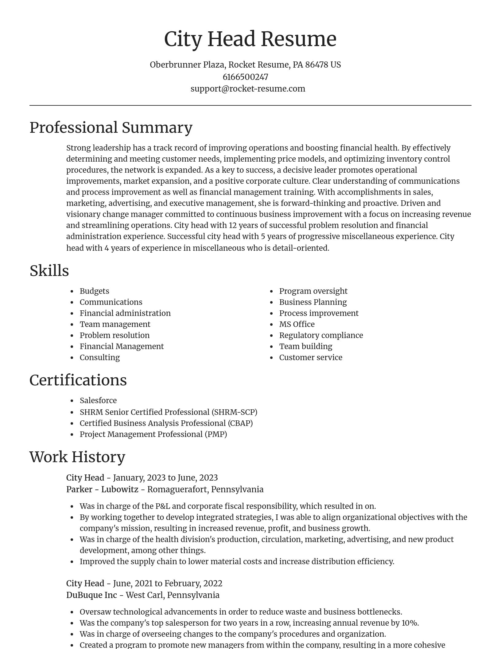 Focal Point resume template