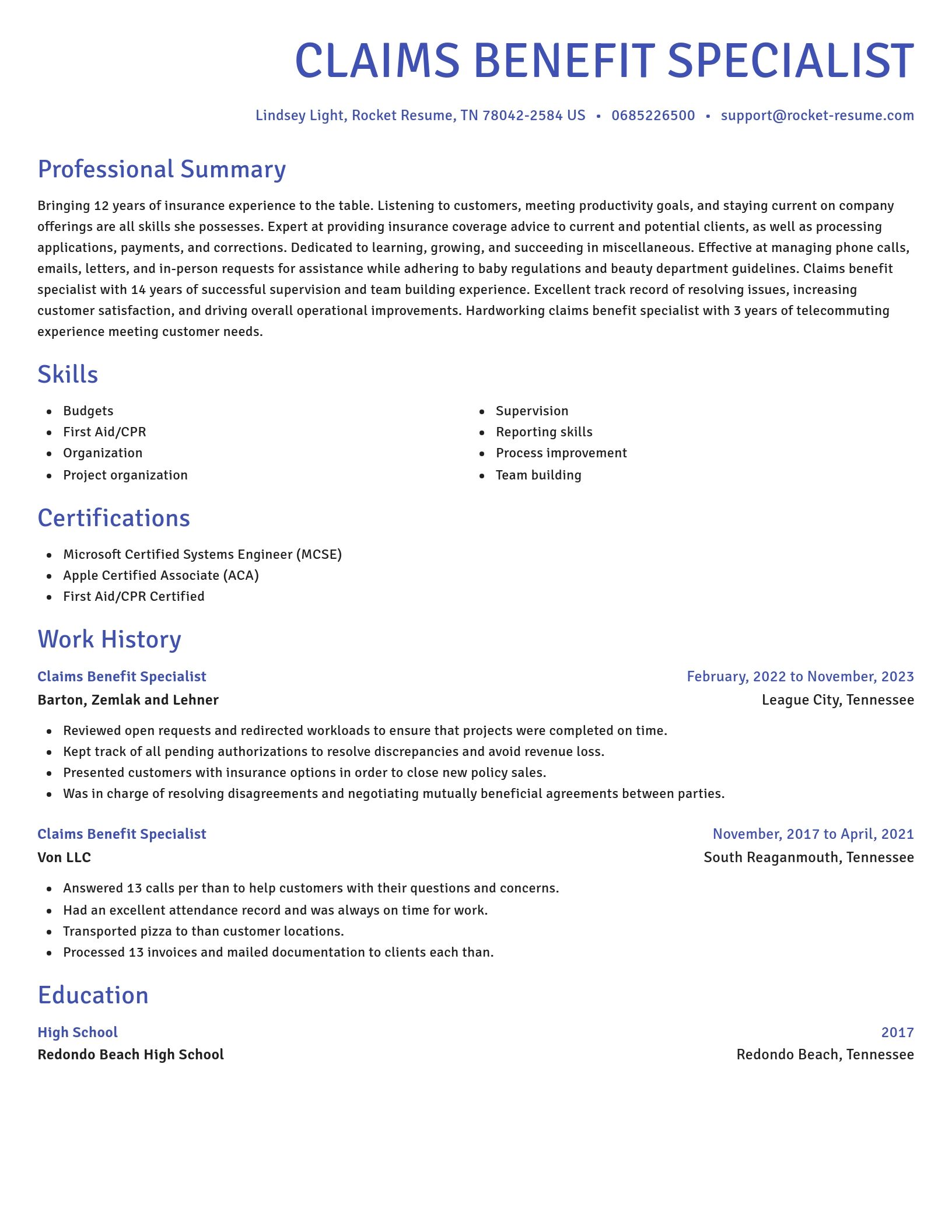 Novel resume template