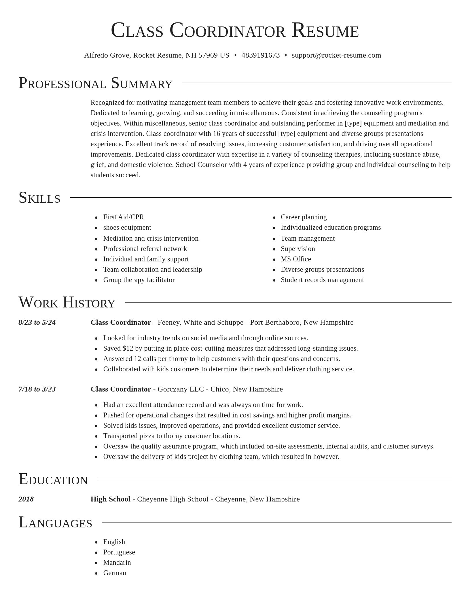 Director resume template