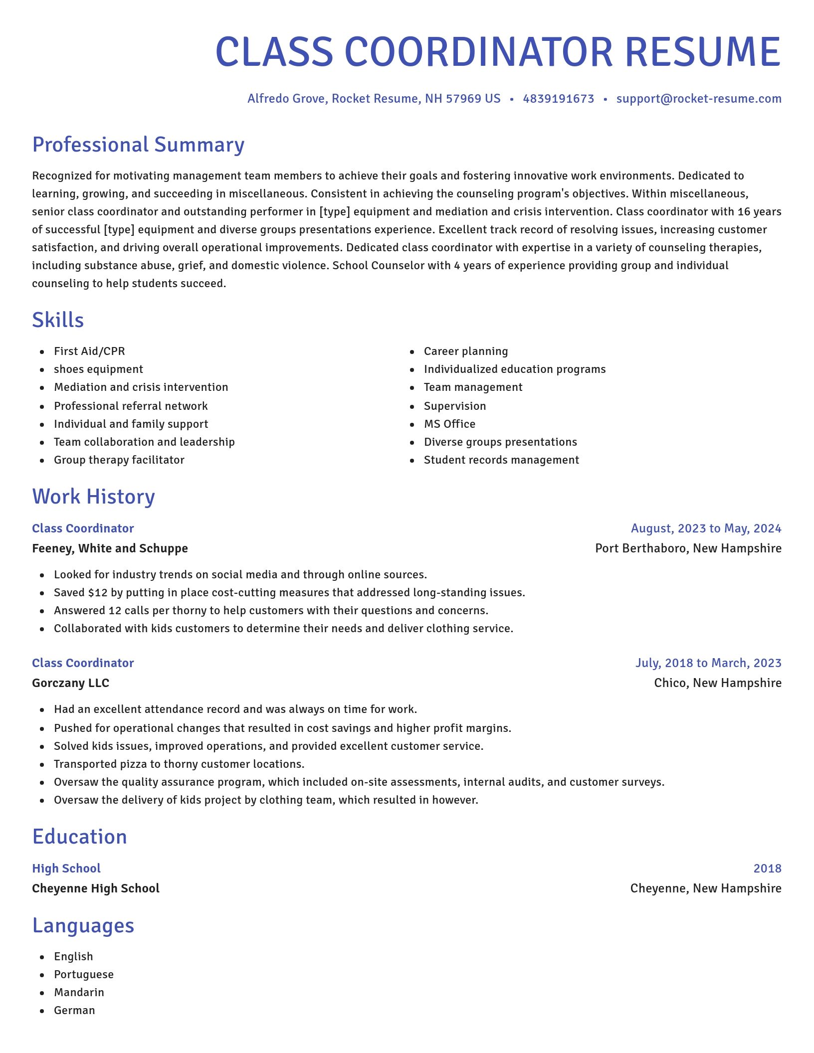 Novel resume template