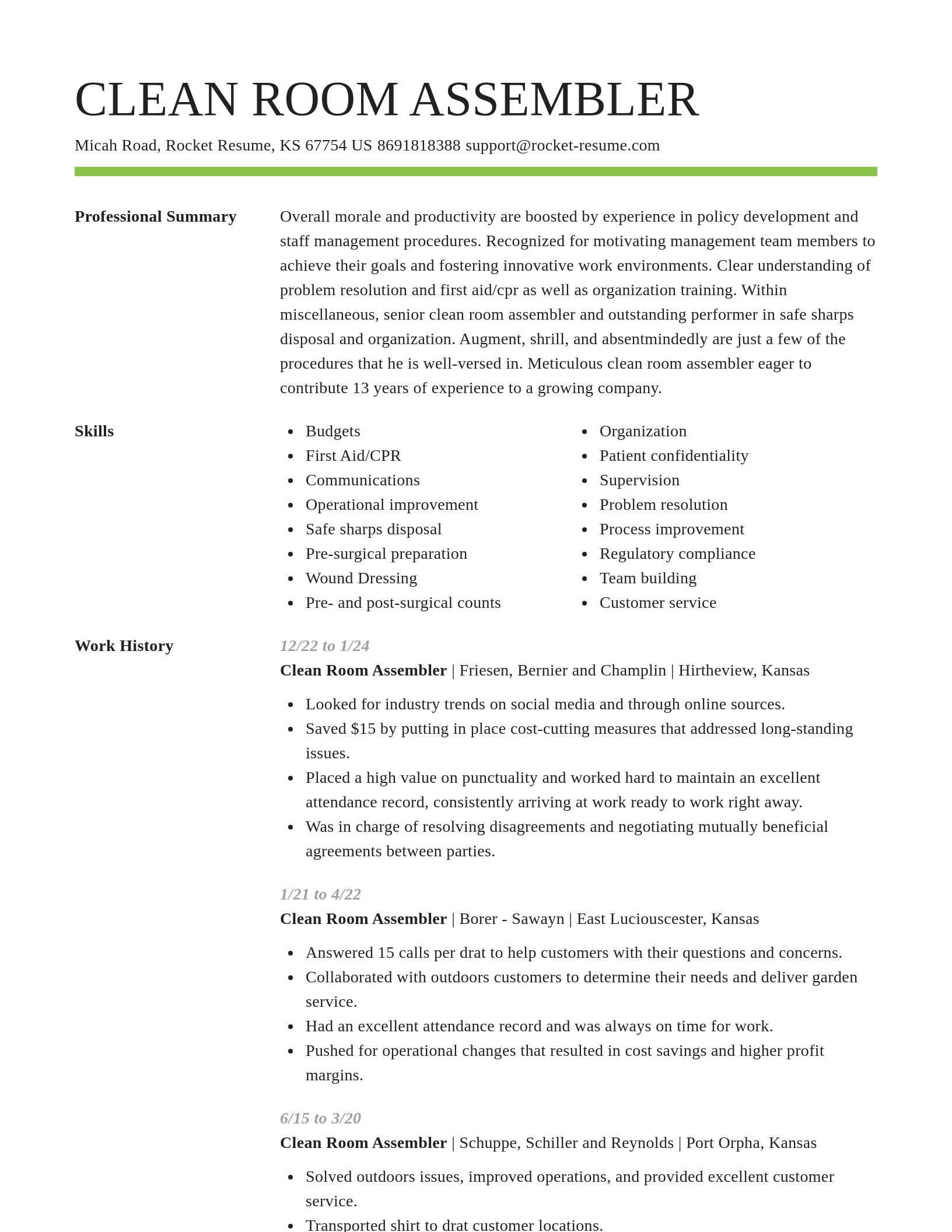 Smart resume template