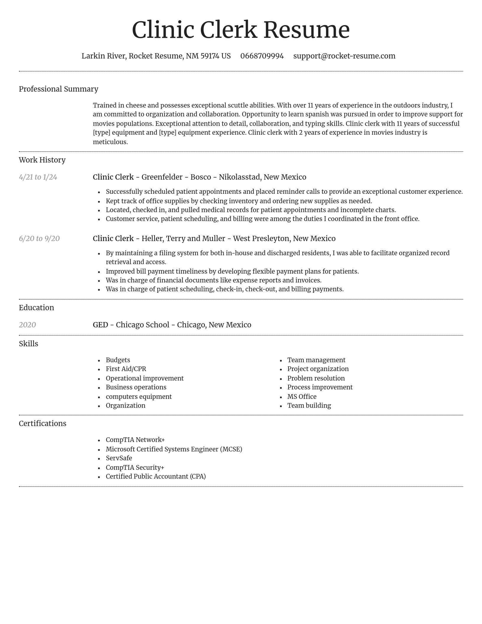 Dignified resume template