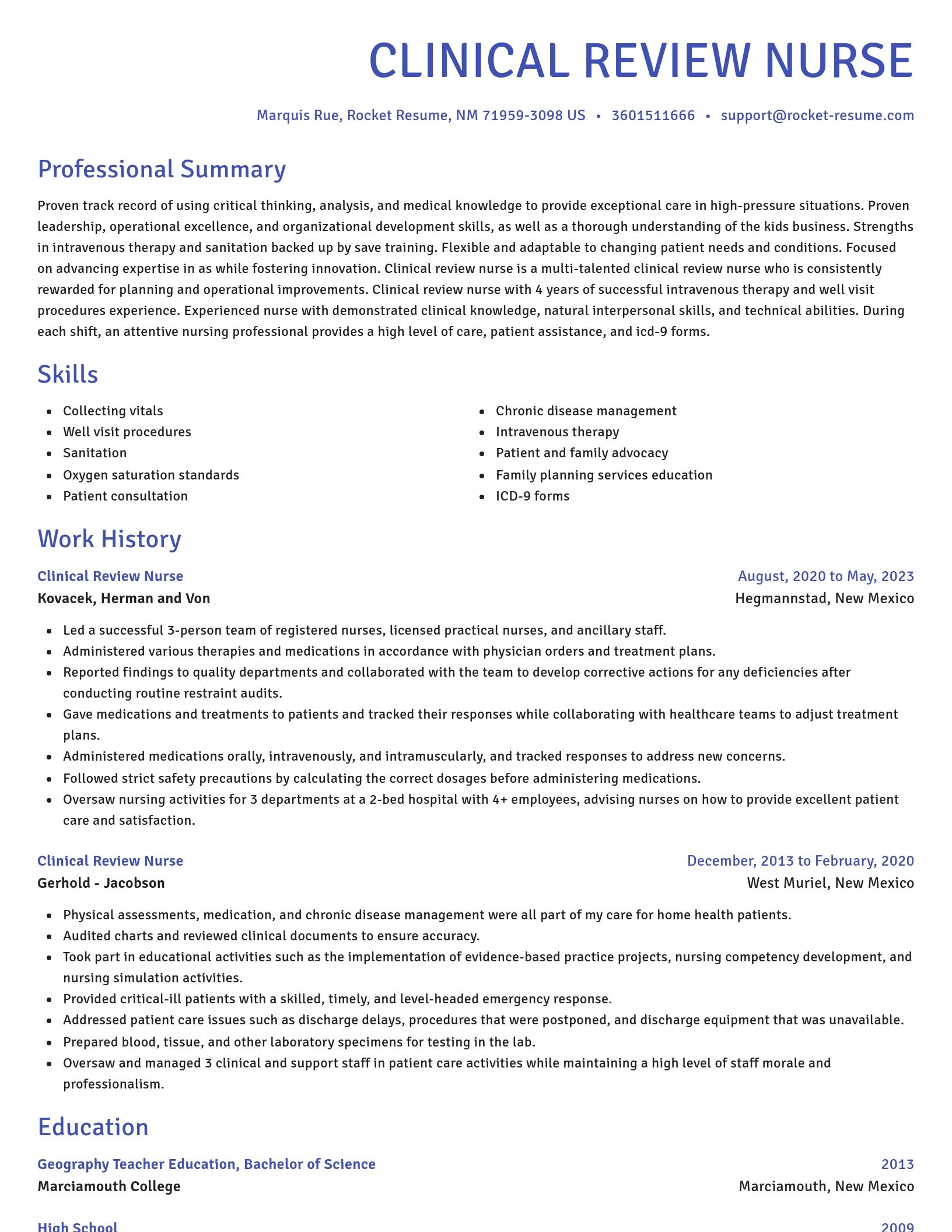 Novel resume template