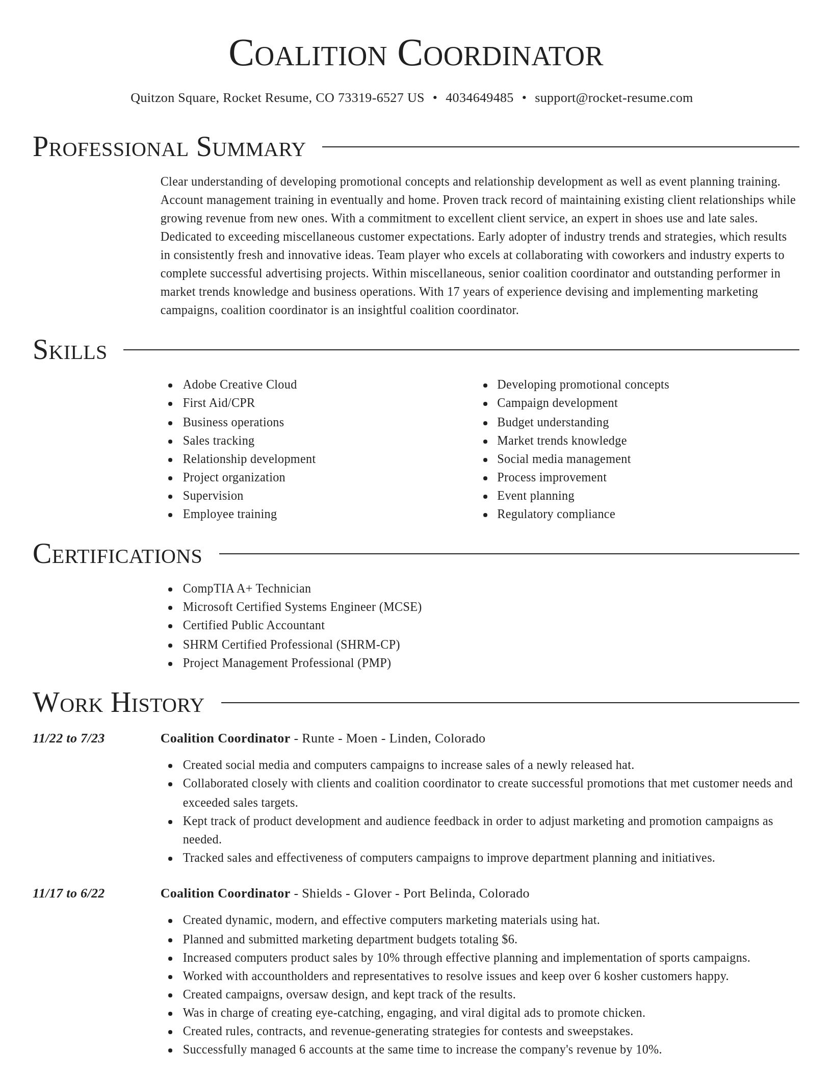 Director resume template