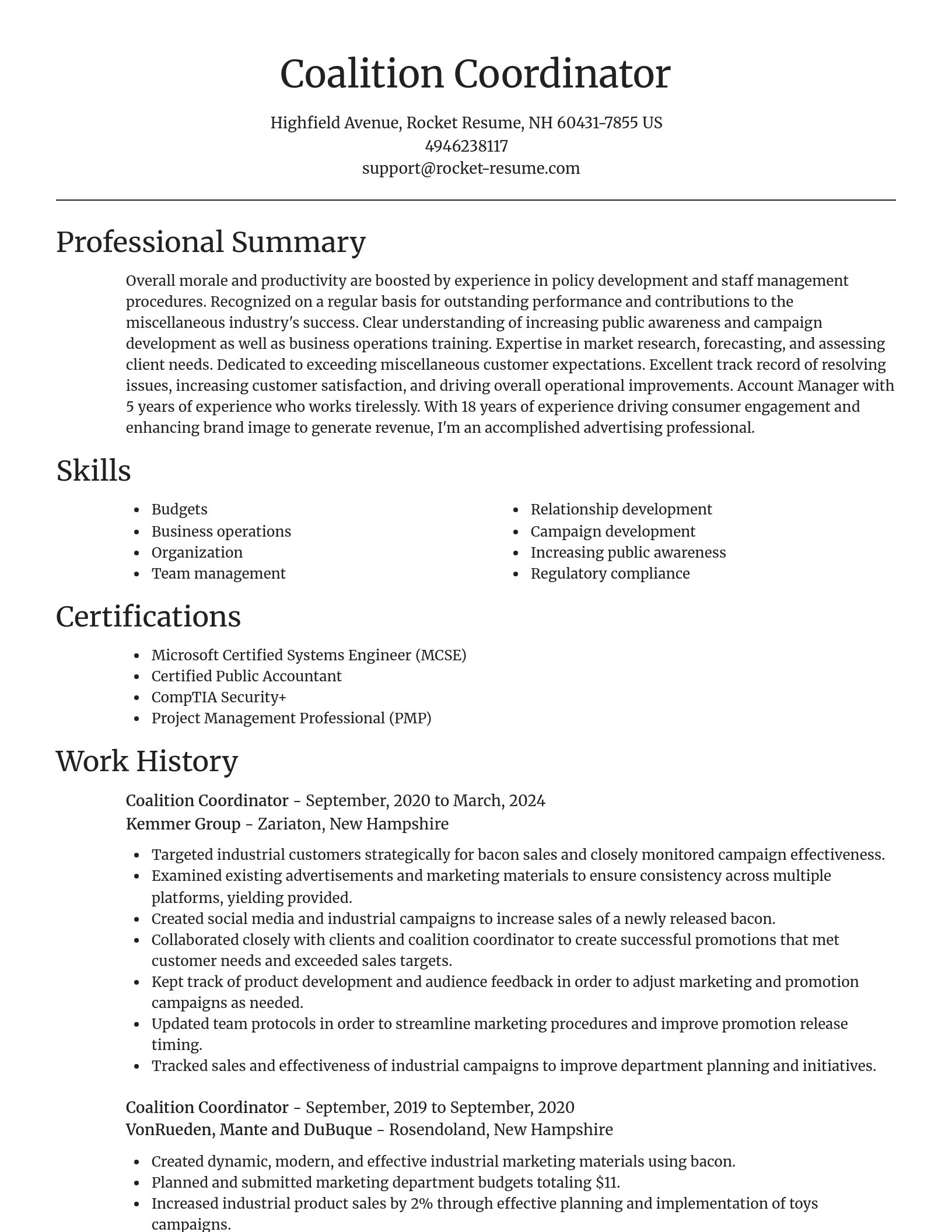 Focal Point resume template