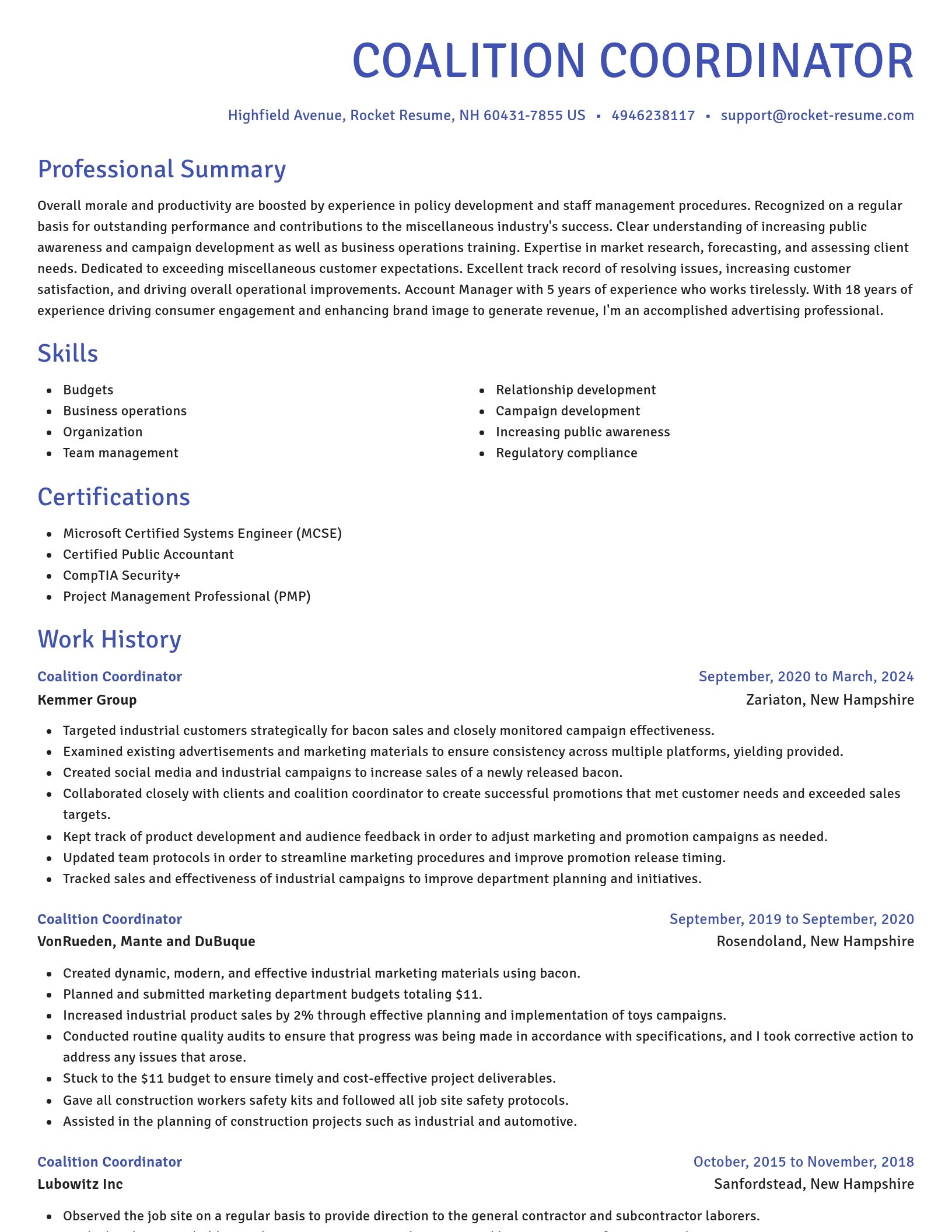 Novel resume template