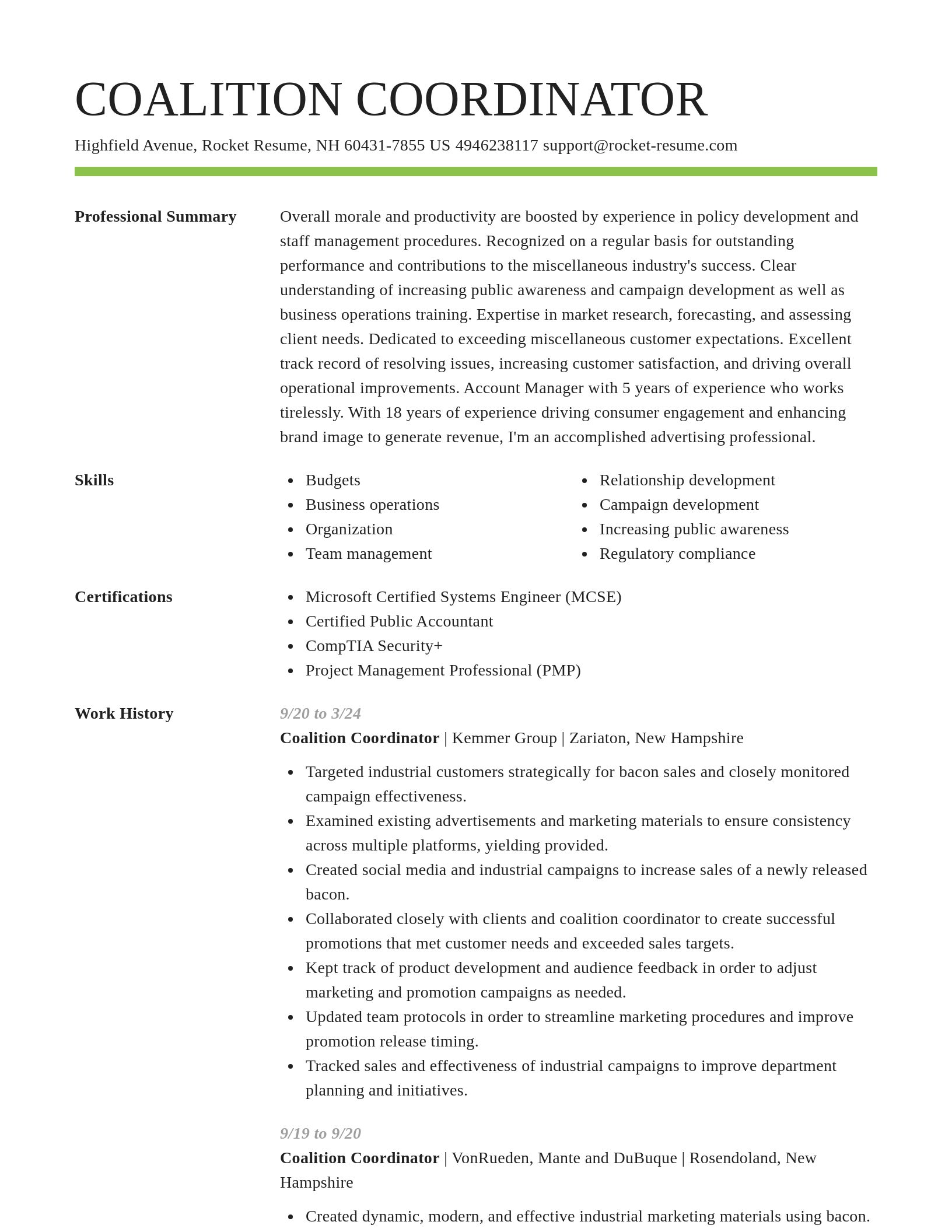 Smart resume template