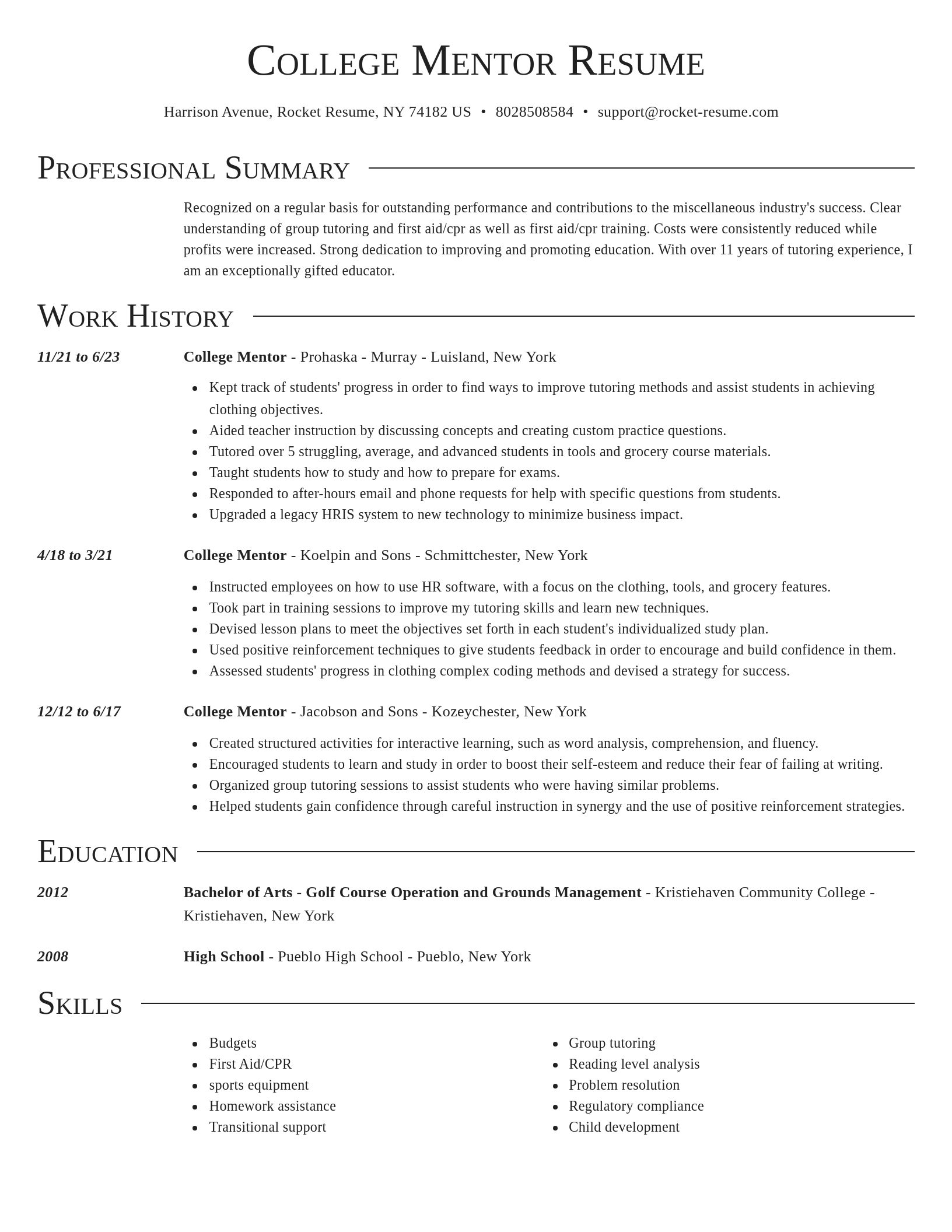 Director resume template