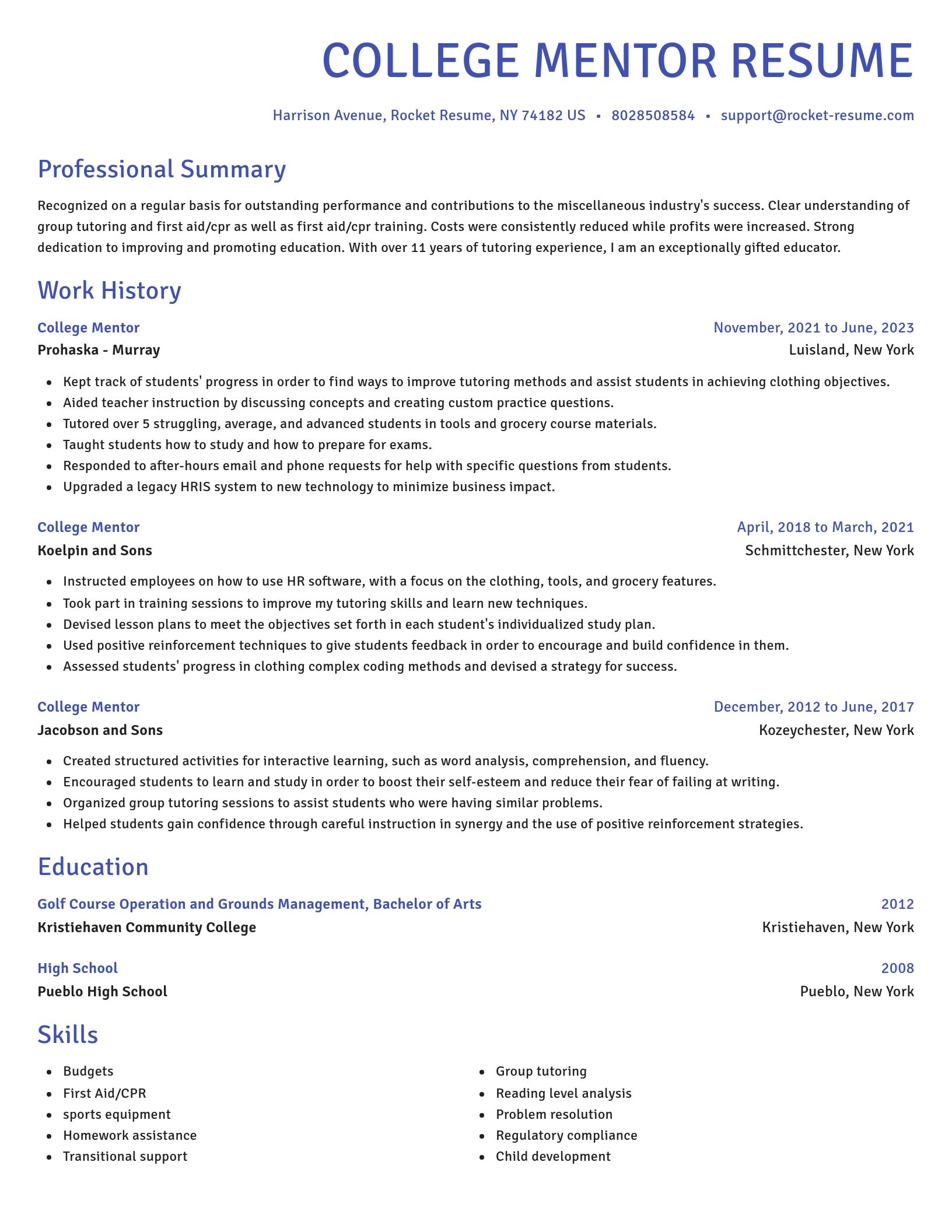 Novel resume template