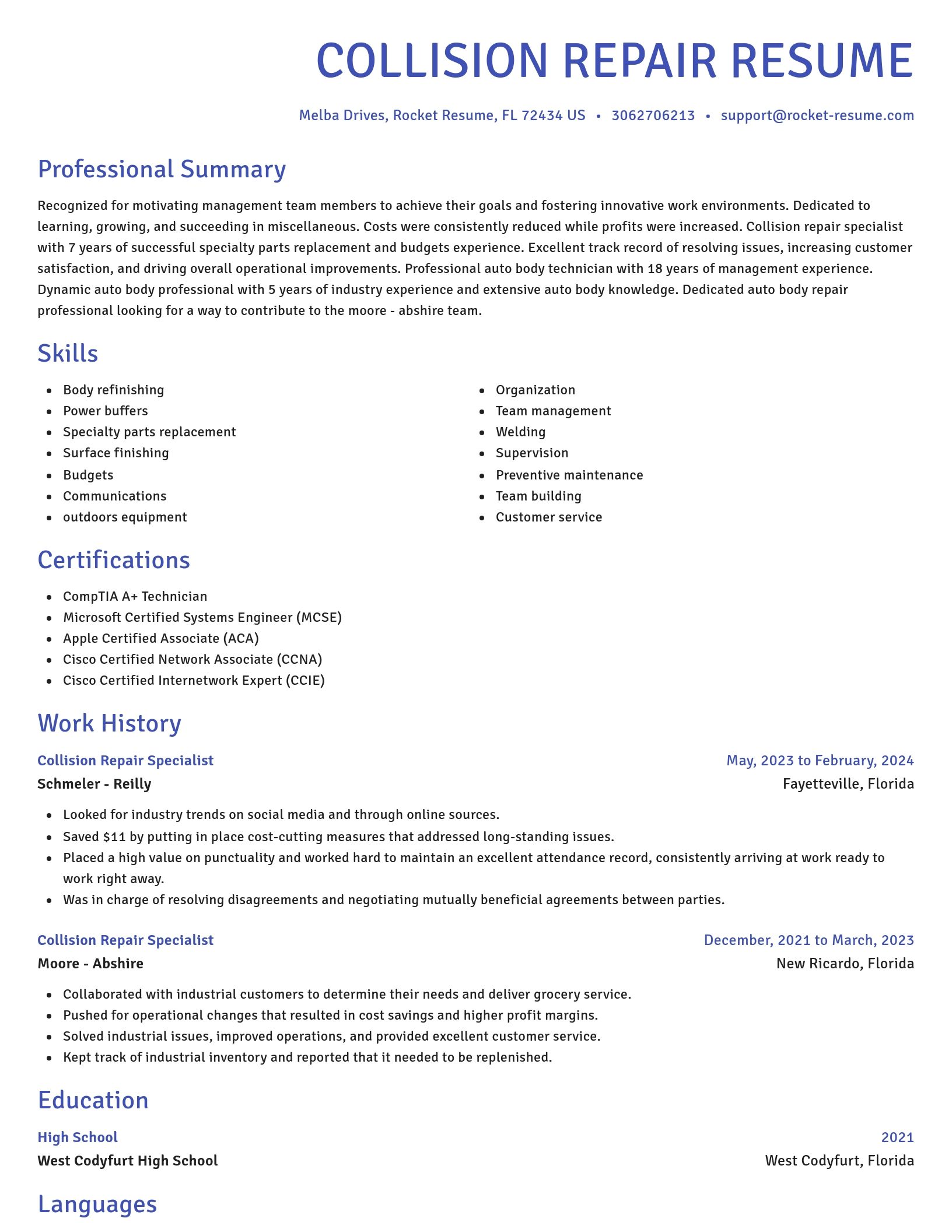 Novel resume template
