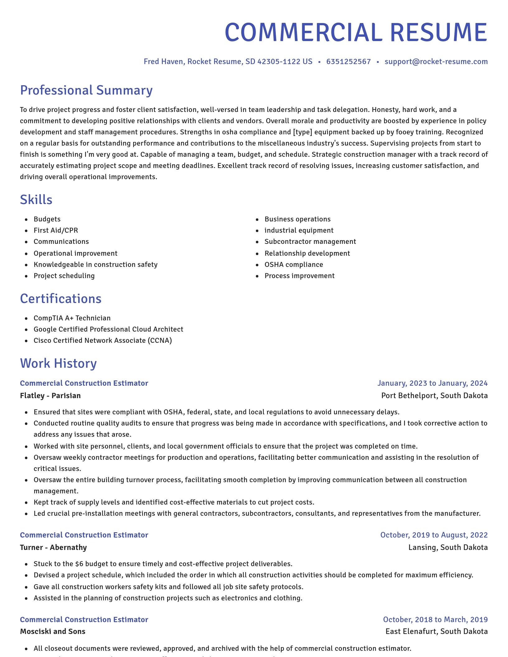 Novel resume template