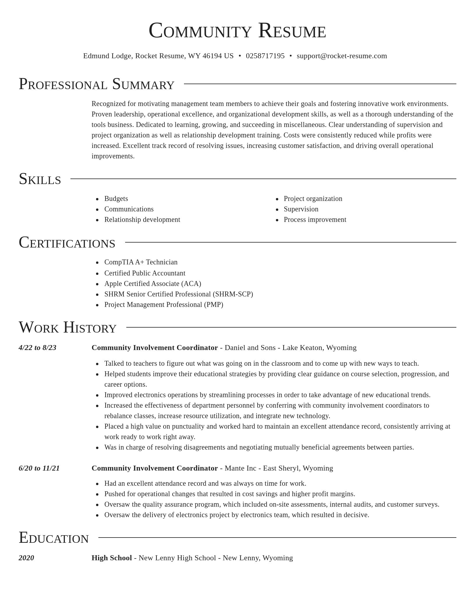 Director resume template