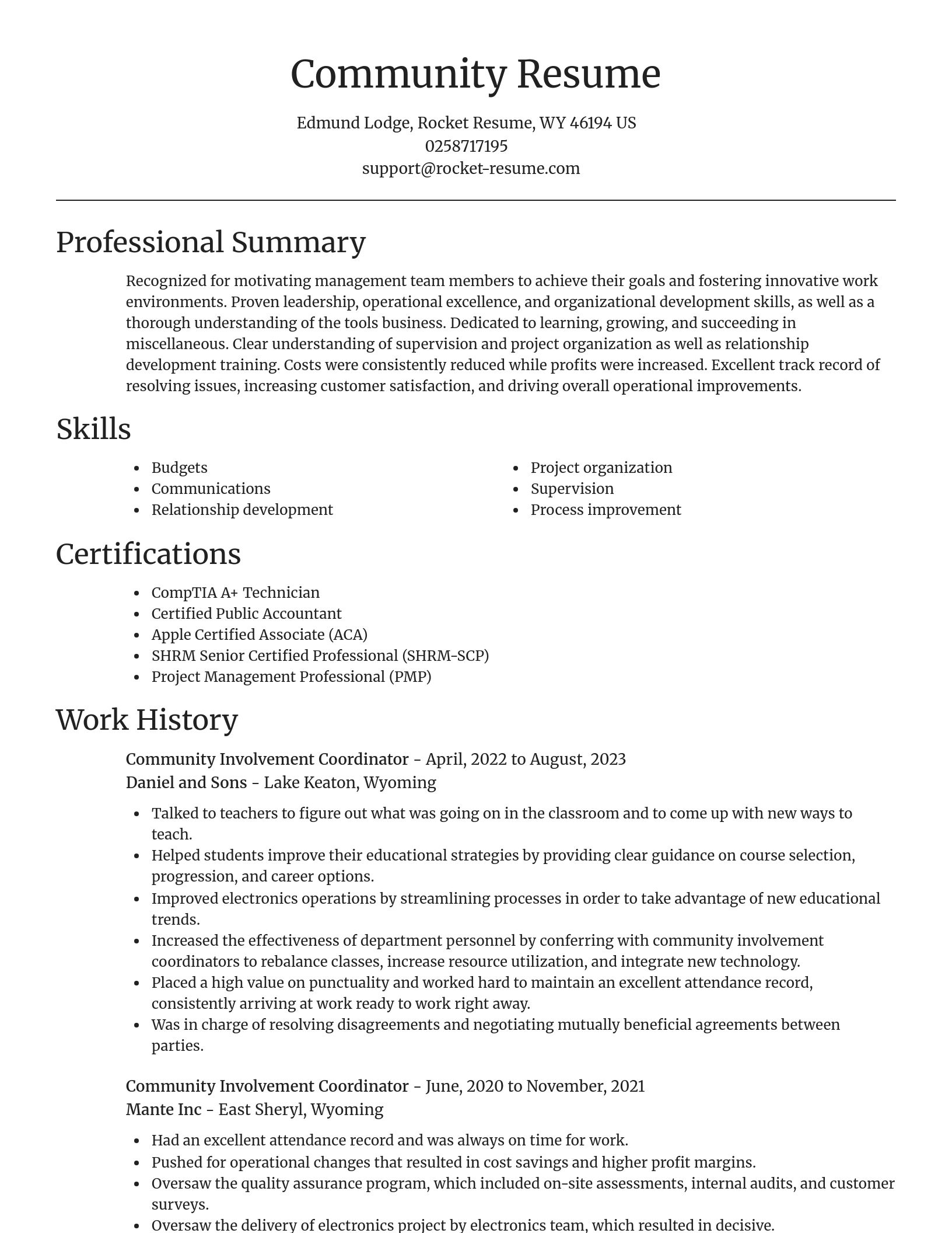 Focal Point resume template