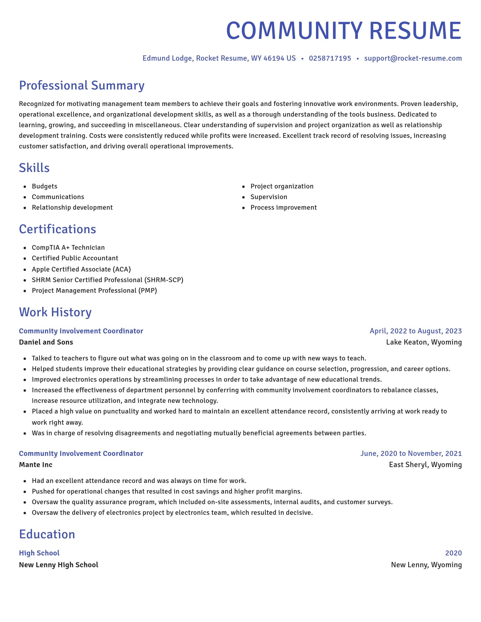 Novel resume template