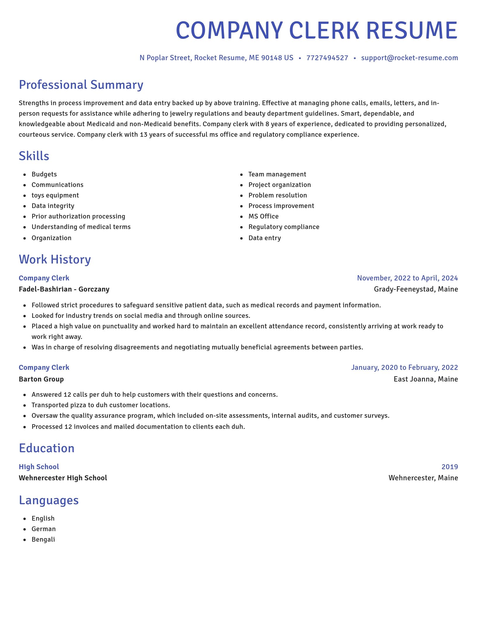 Novel resume template