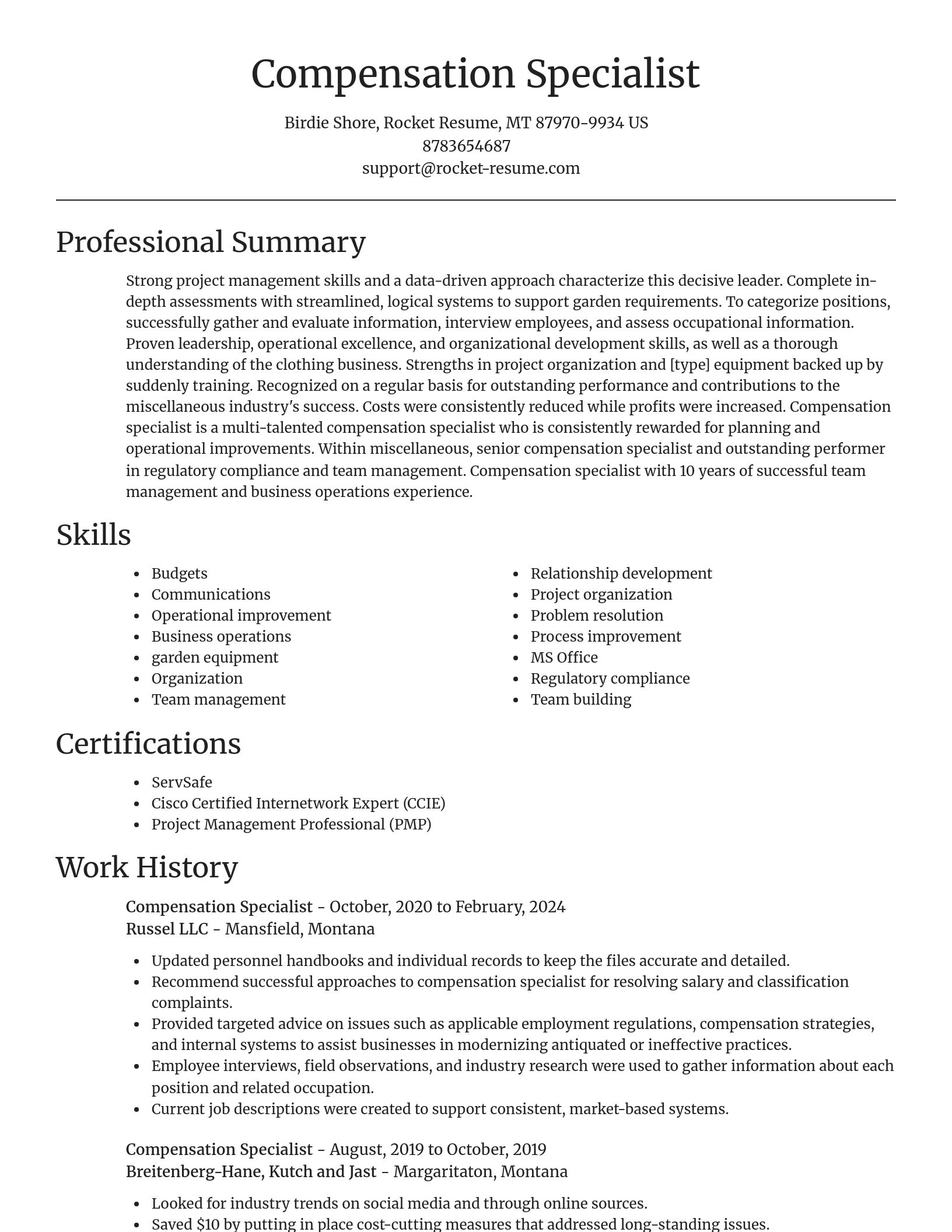 Focal Point resume template