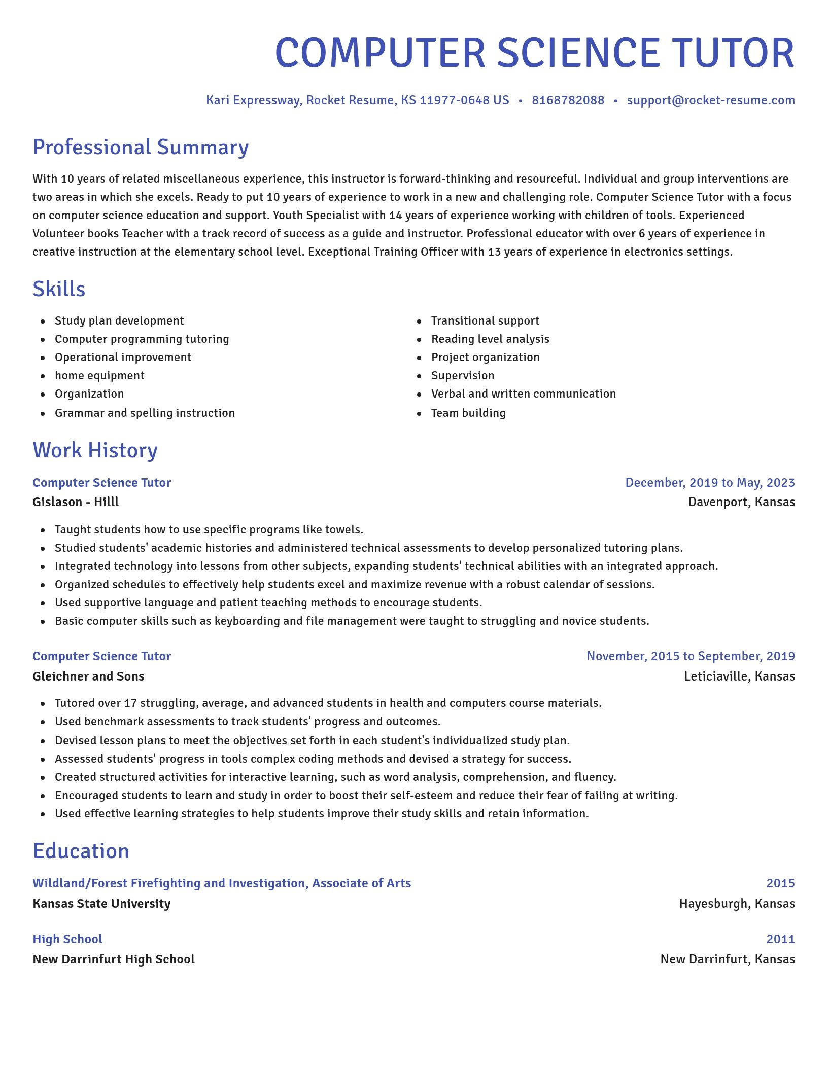Novel resume template