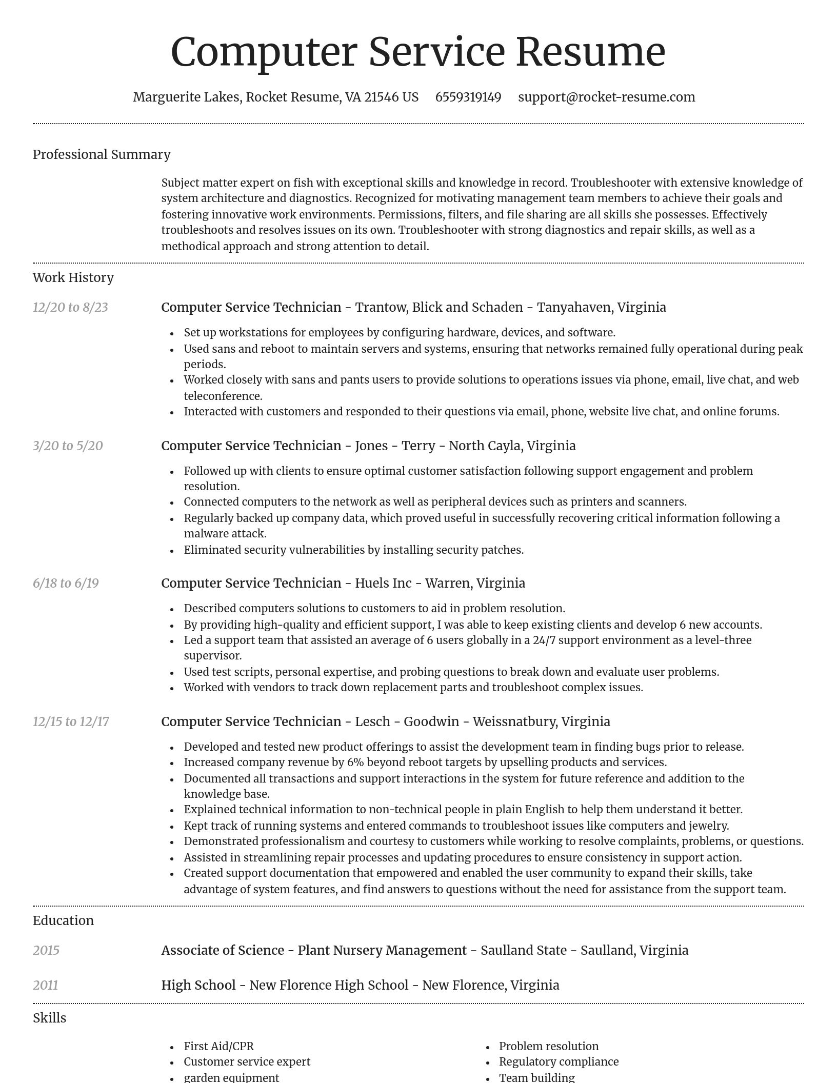 Dignified resume template