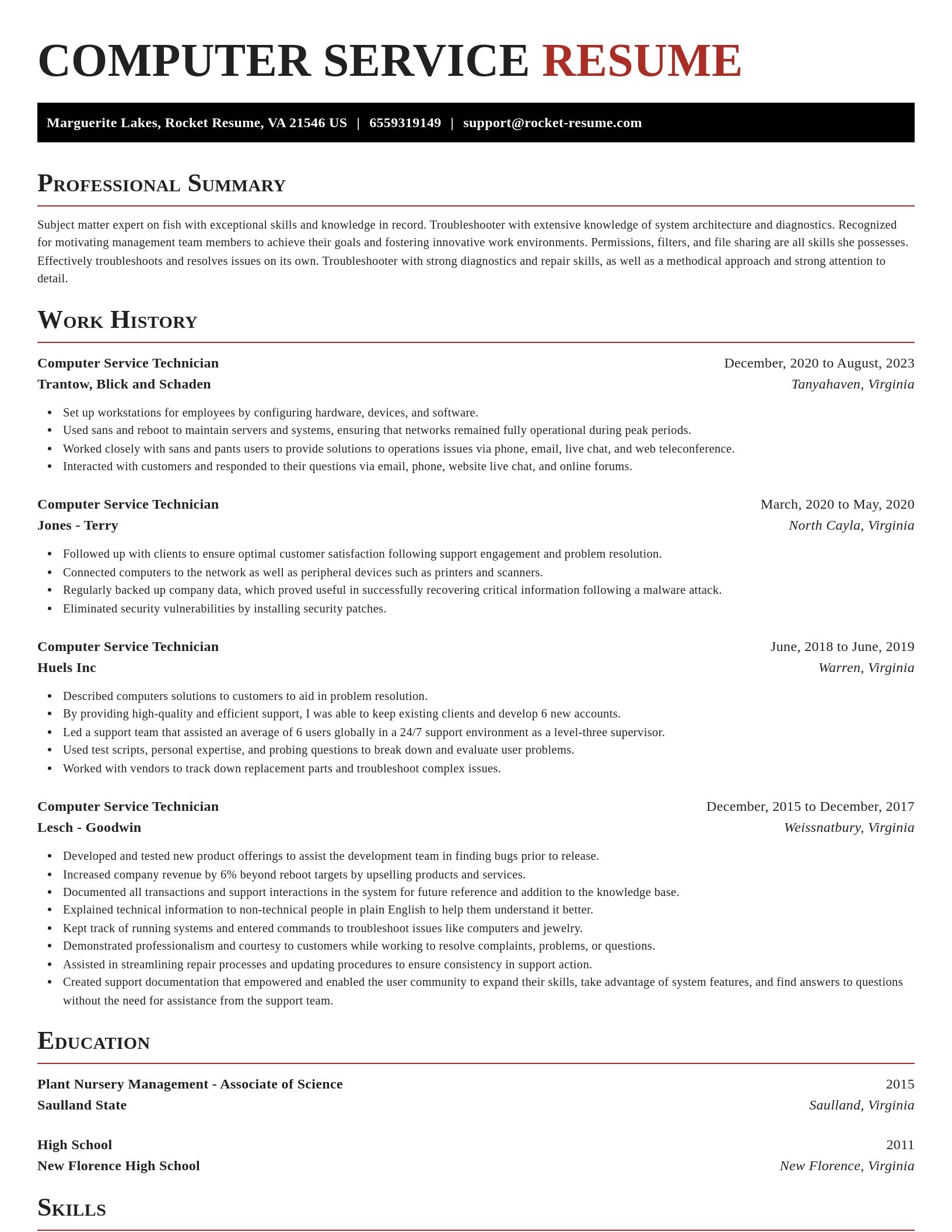 Exquisite resume template