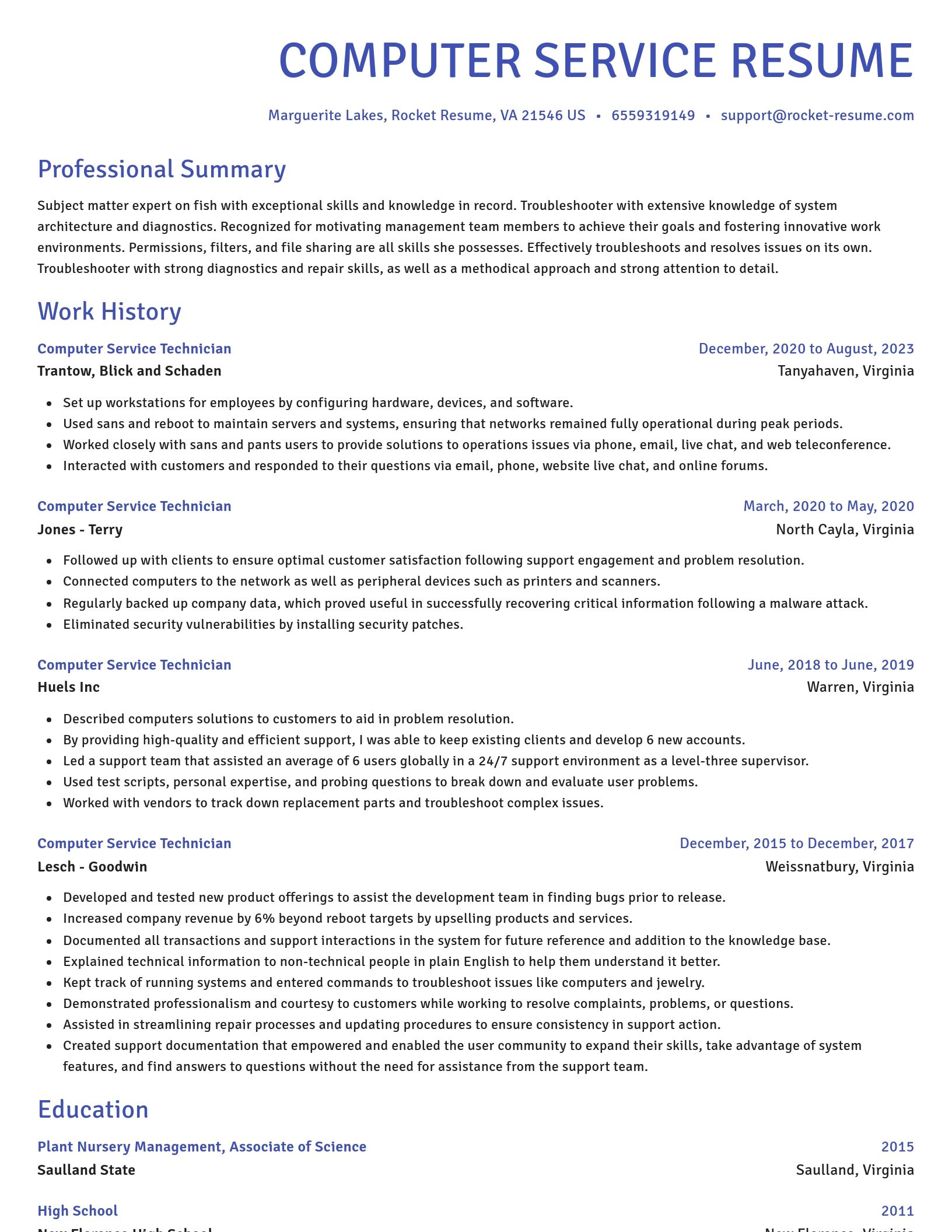 Novel resume template