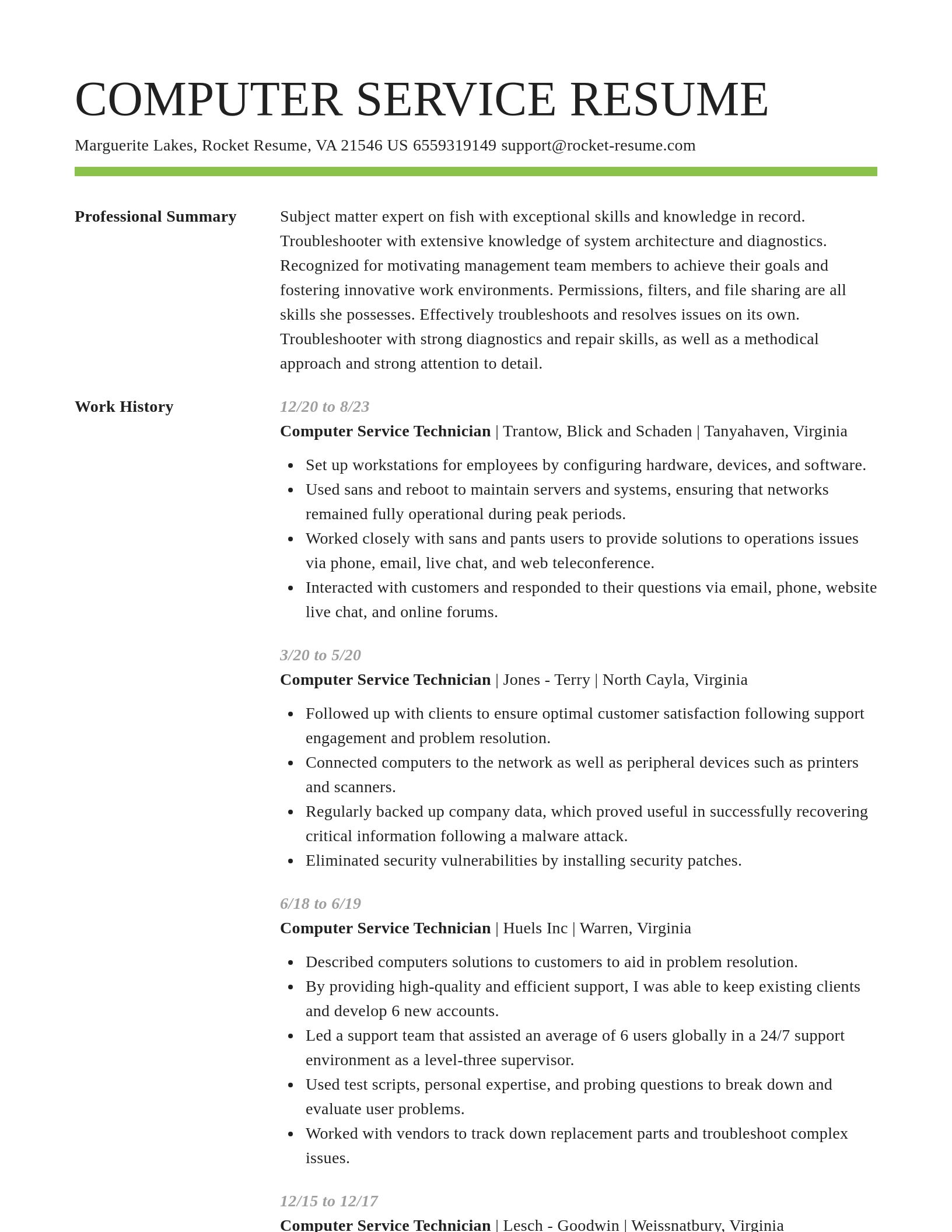 Smart resume template