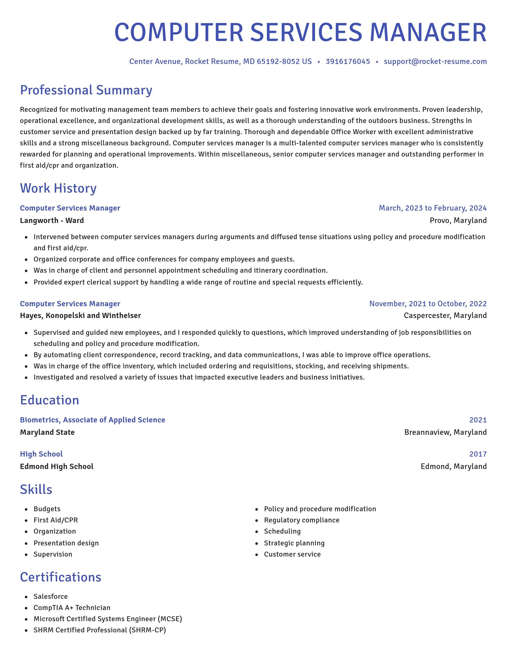 Novel resume template