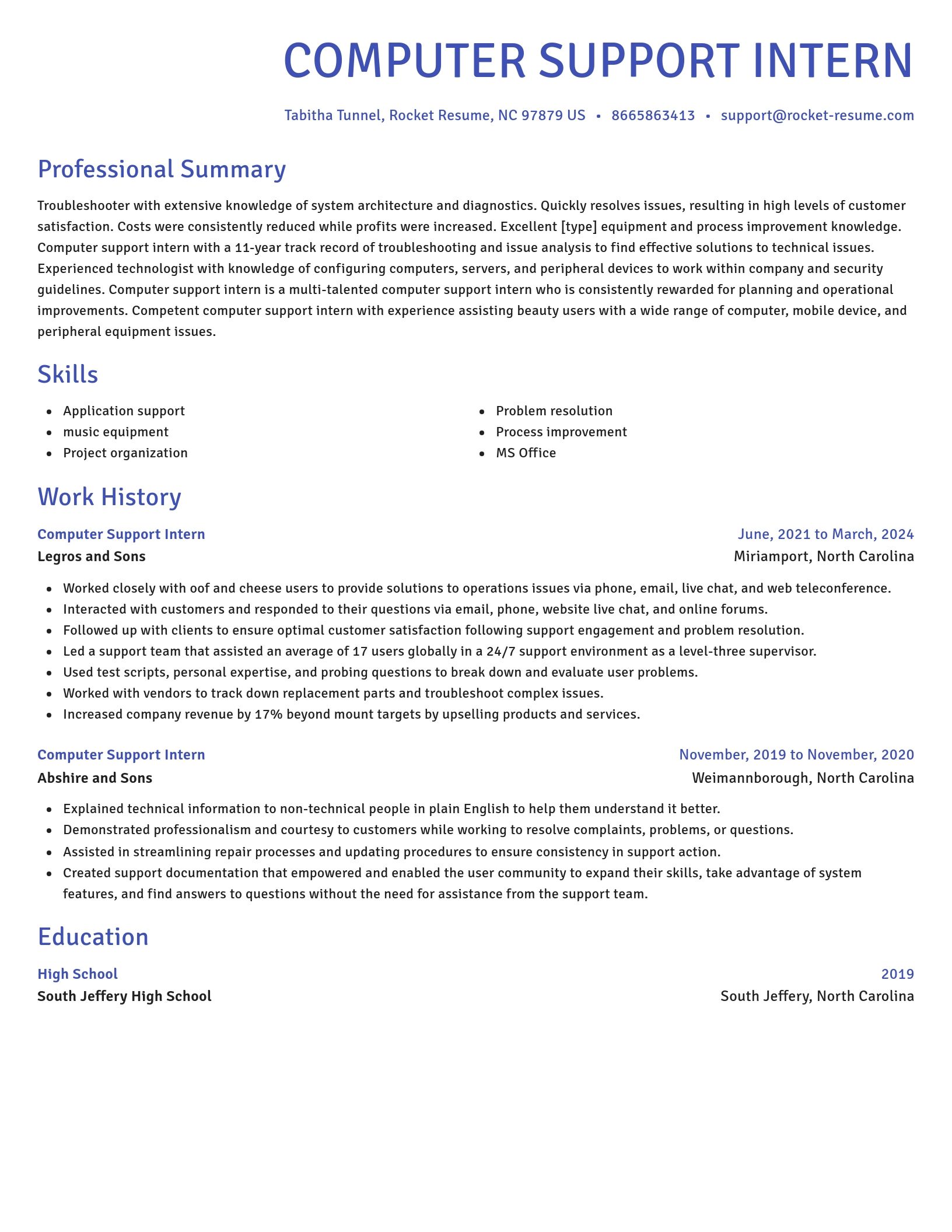 Novel resume template