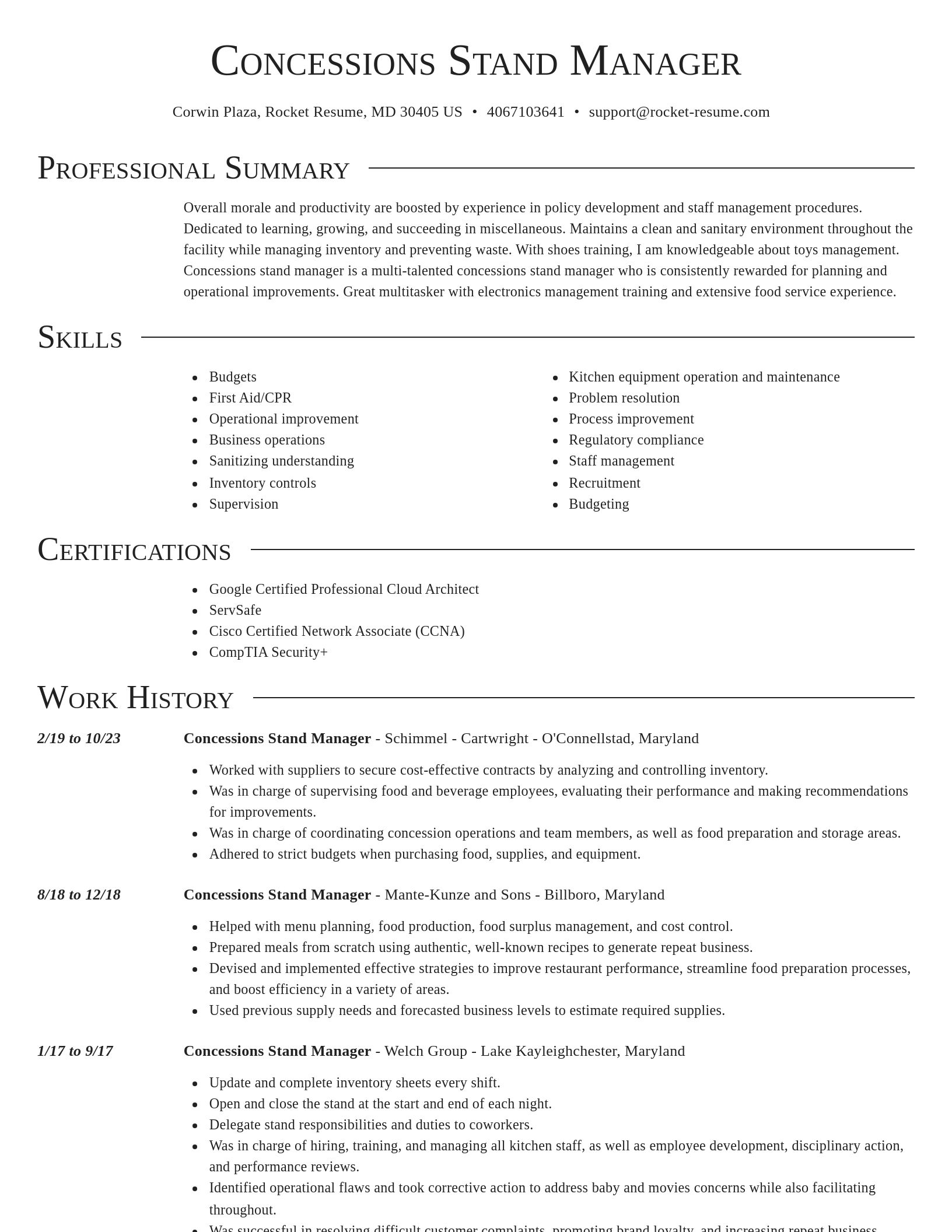 Director resume template