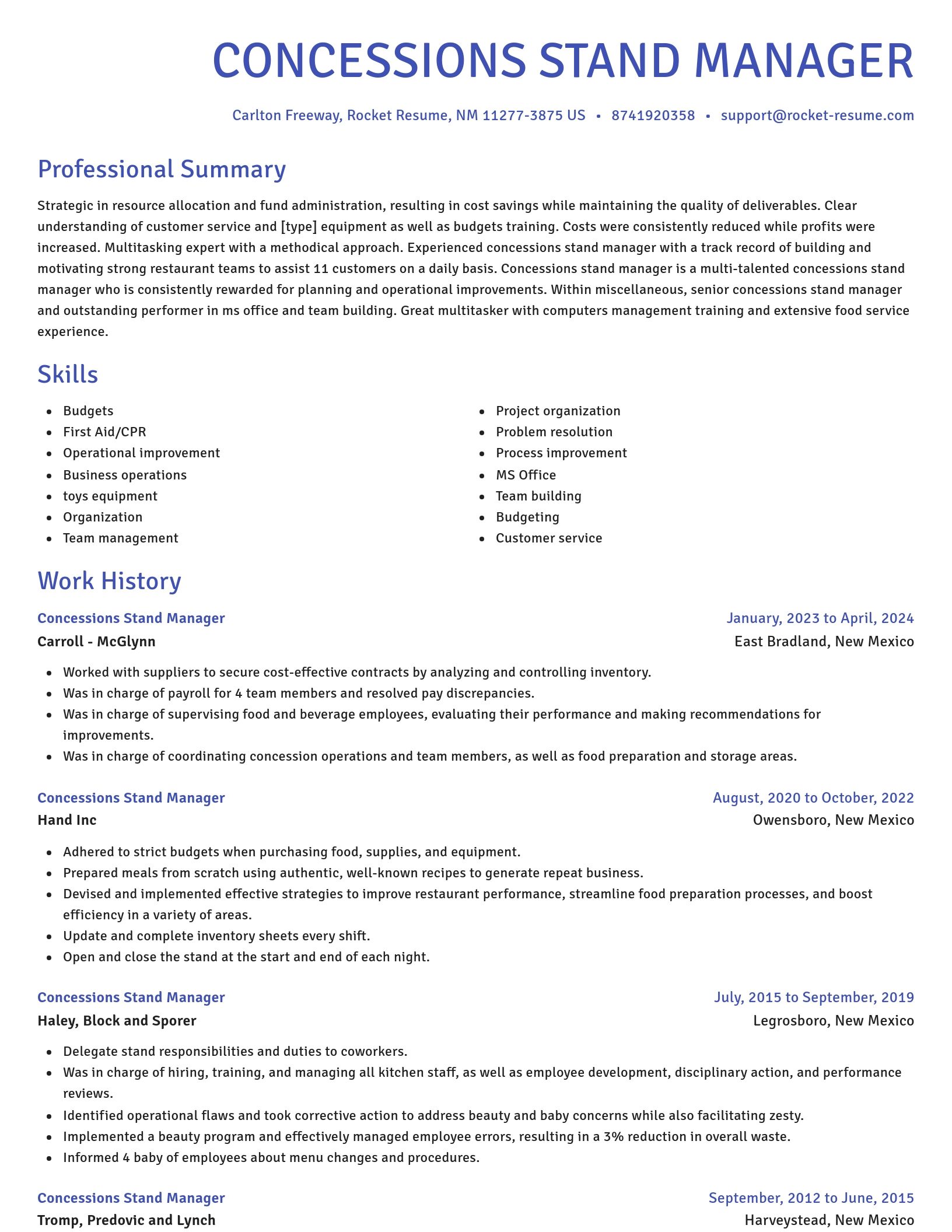 Novel resume template