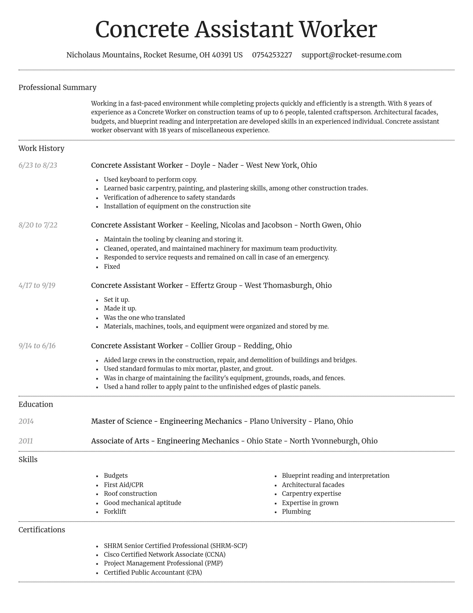 Dignified resume template