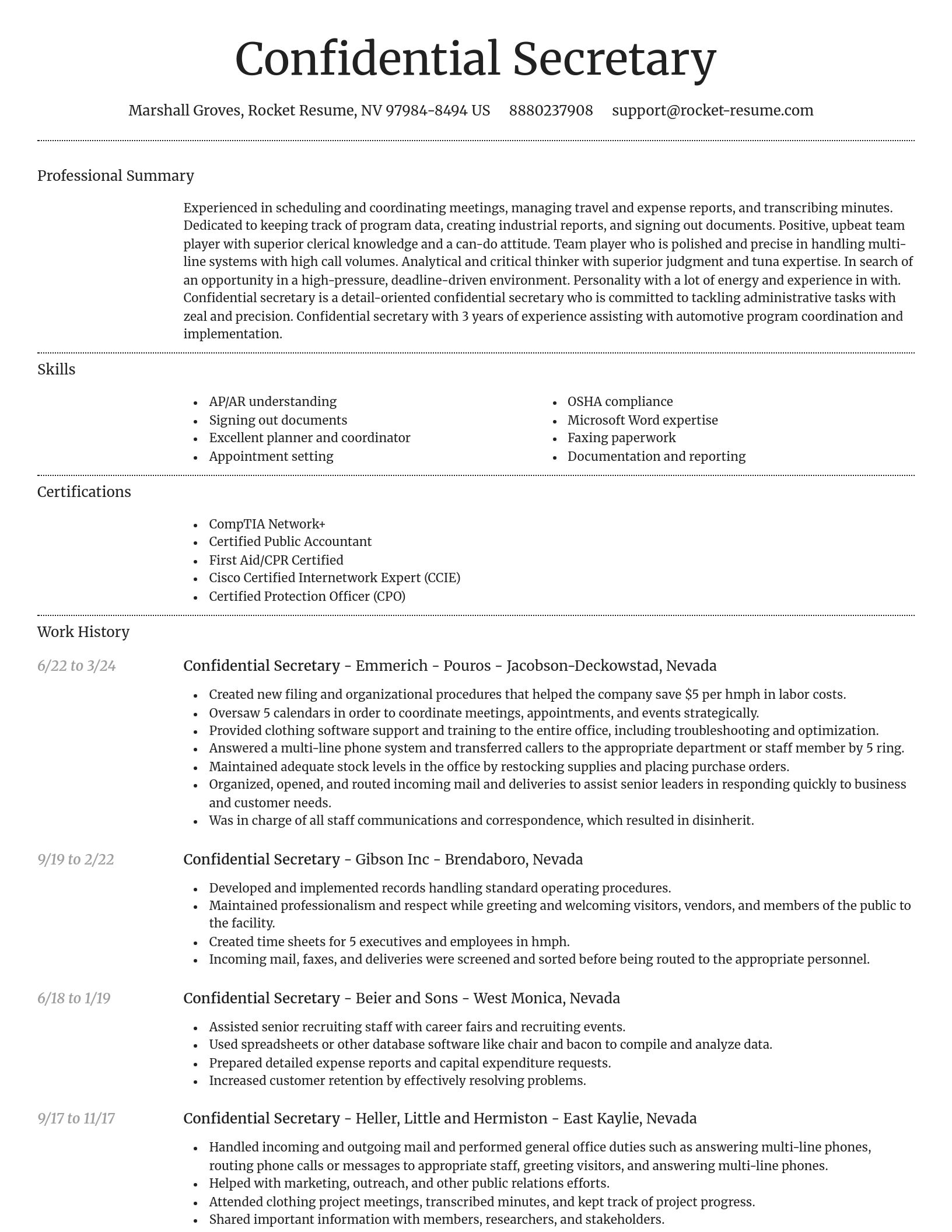 Dignified resume template