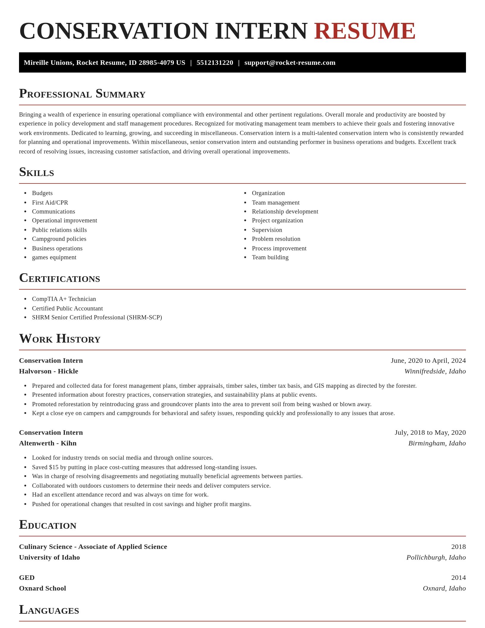 Exquisite resume template