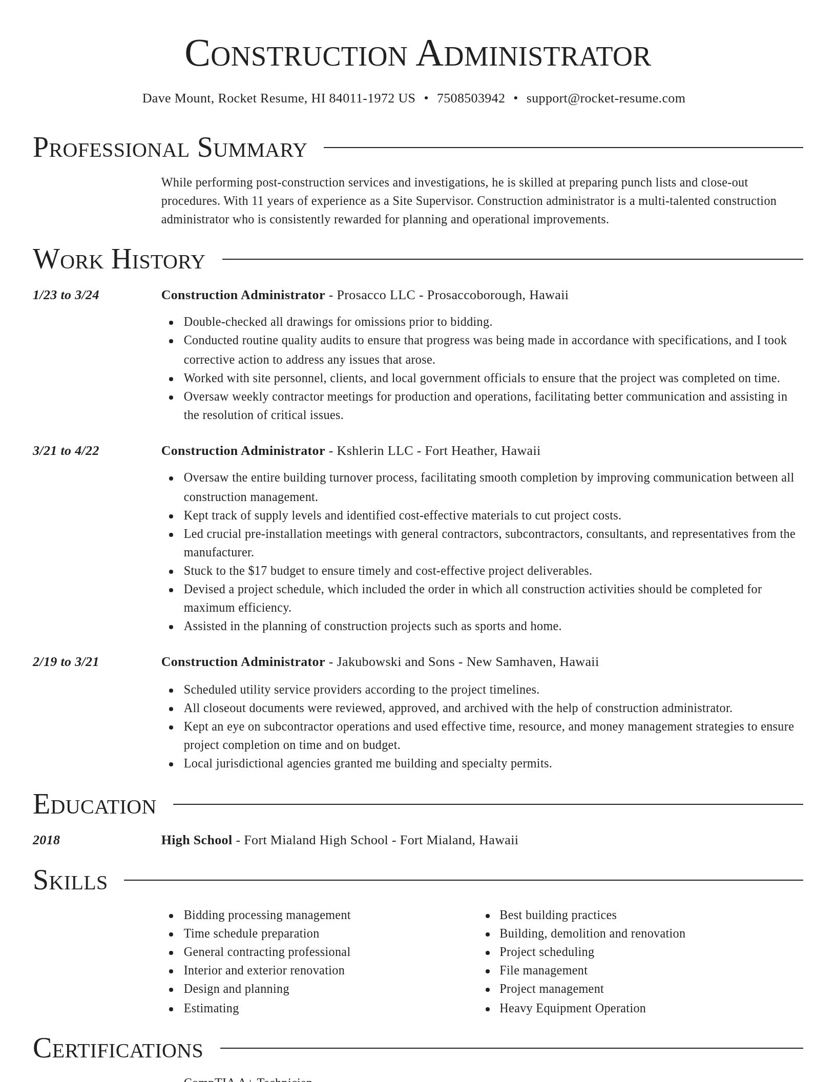 Director resume template