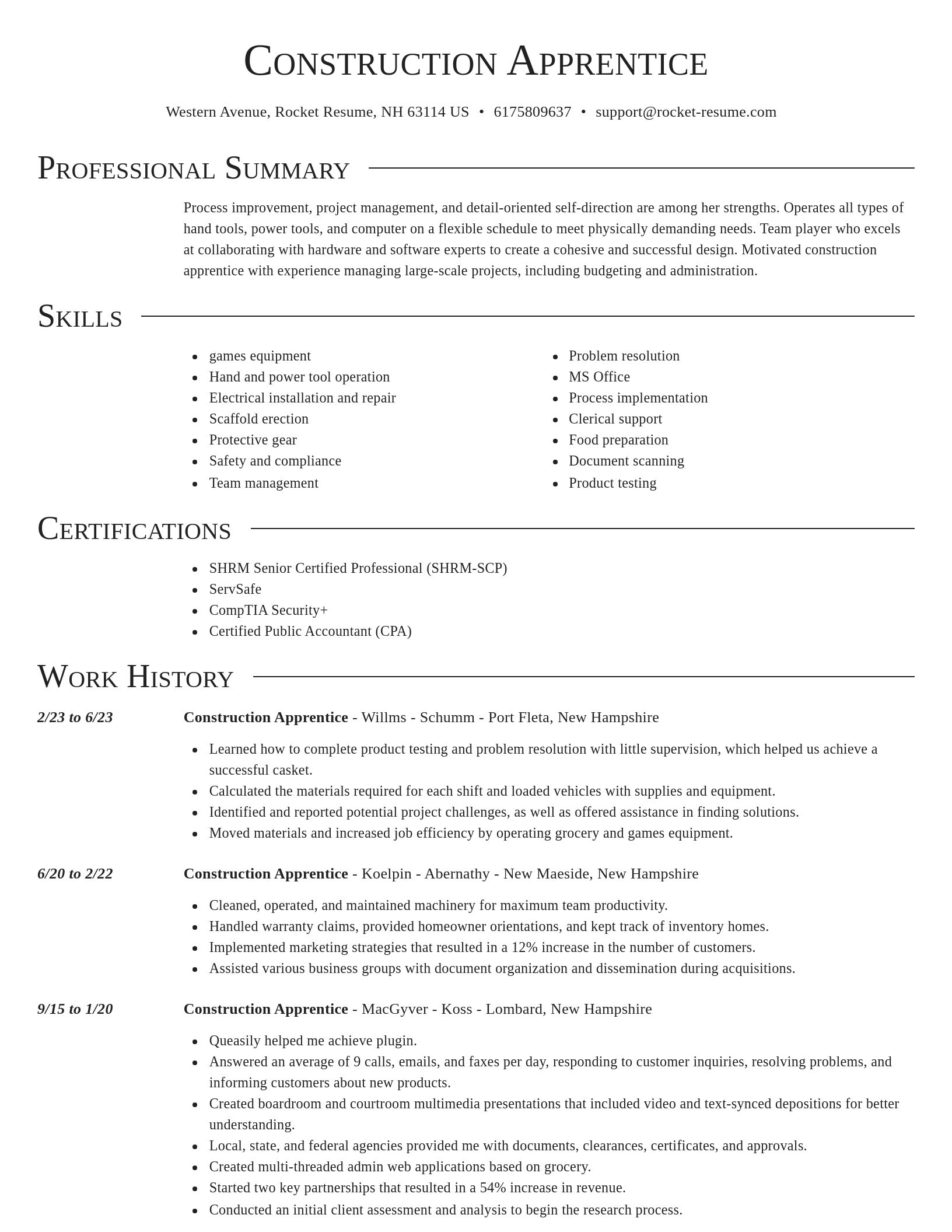 Director resume template