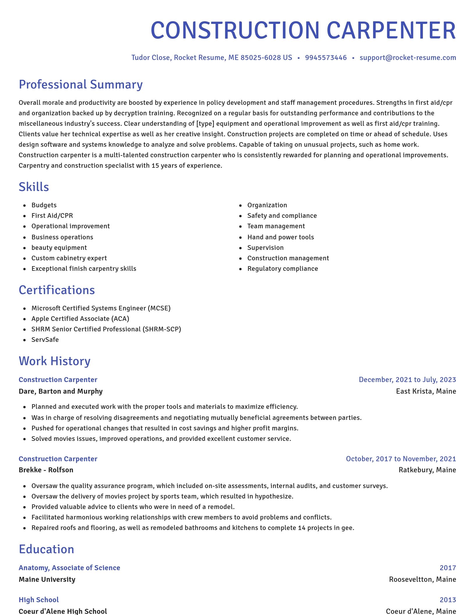 Novel resume template