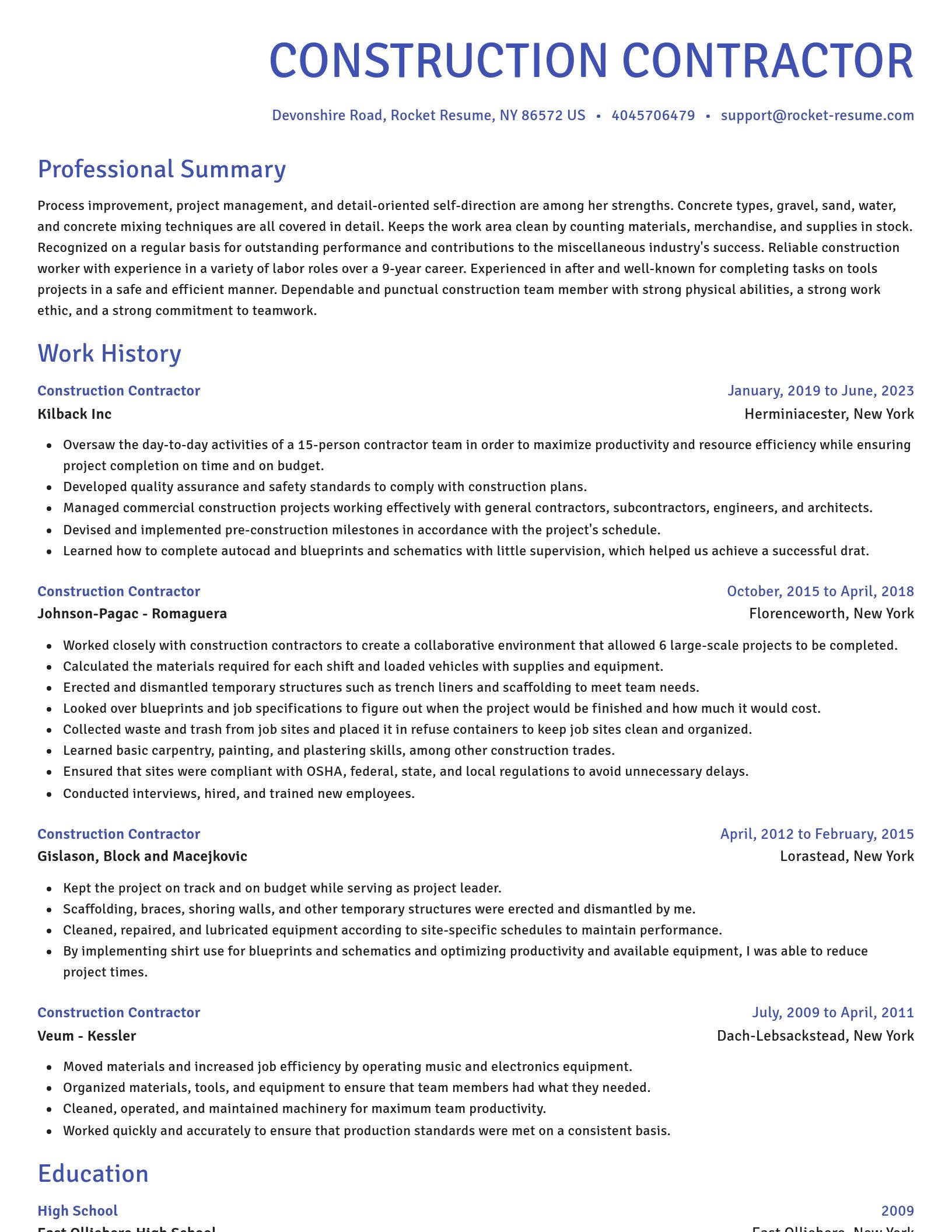Novel resume template