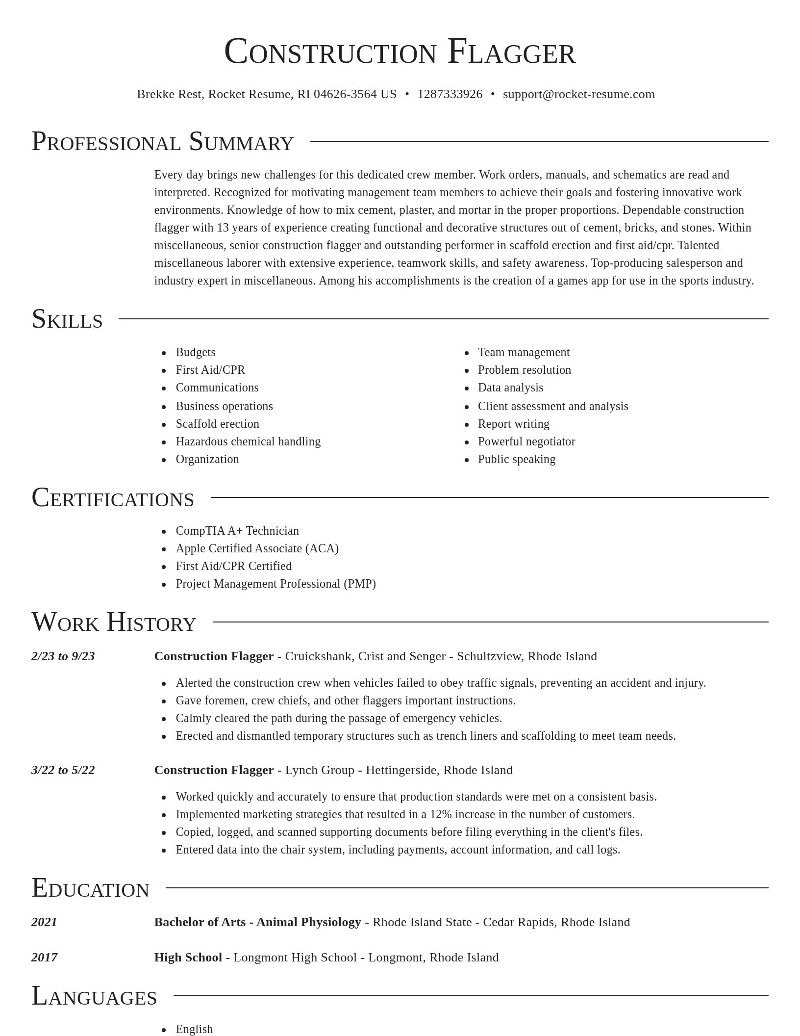 Director resume template